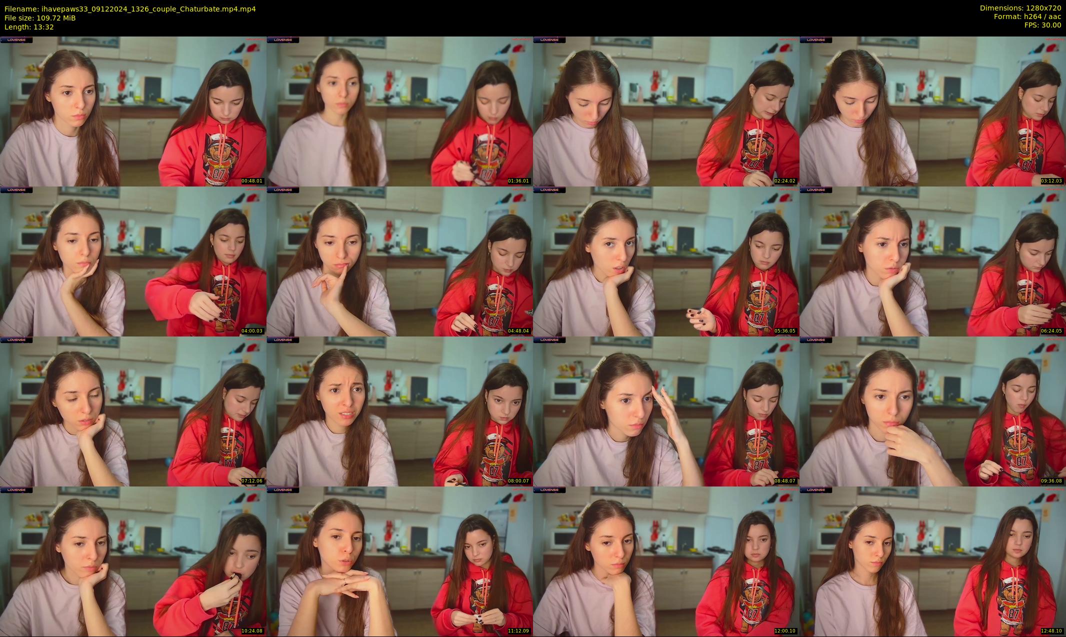 ihavepaws33 — 14 minute Chaturbate couple cam show recording, 720p, Dec 9, 2024