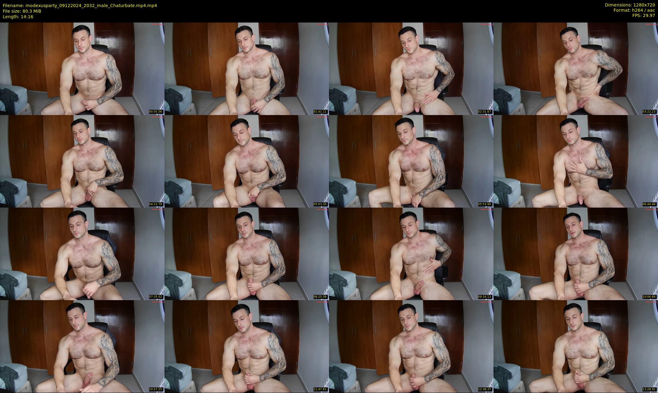 modexusparty — 15 minute Chaturbate male cam show recording, 720p, Dec 9, 2024