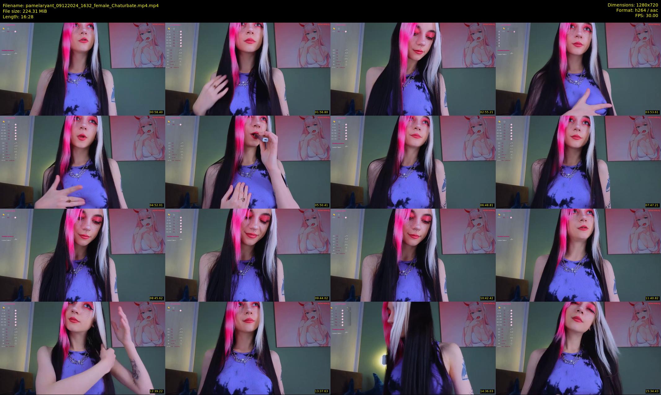pamelaryant — 17 minute Chaturbate female cam show recording, 720p, Dec 9, 2024