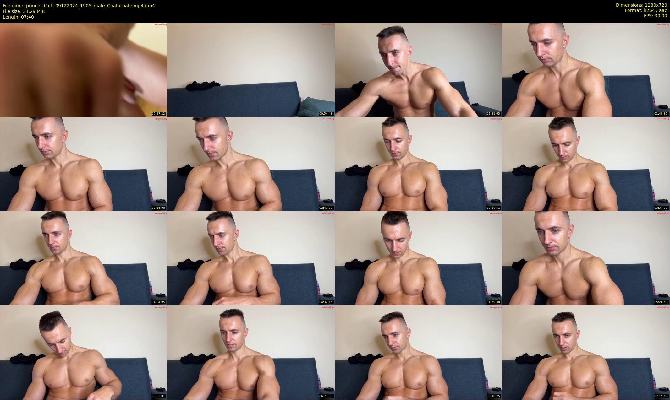 prince_d1ck — 8 minute Chaturbate male cam show recording, 720p, Dec 9, 2024
