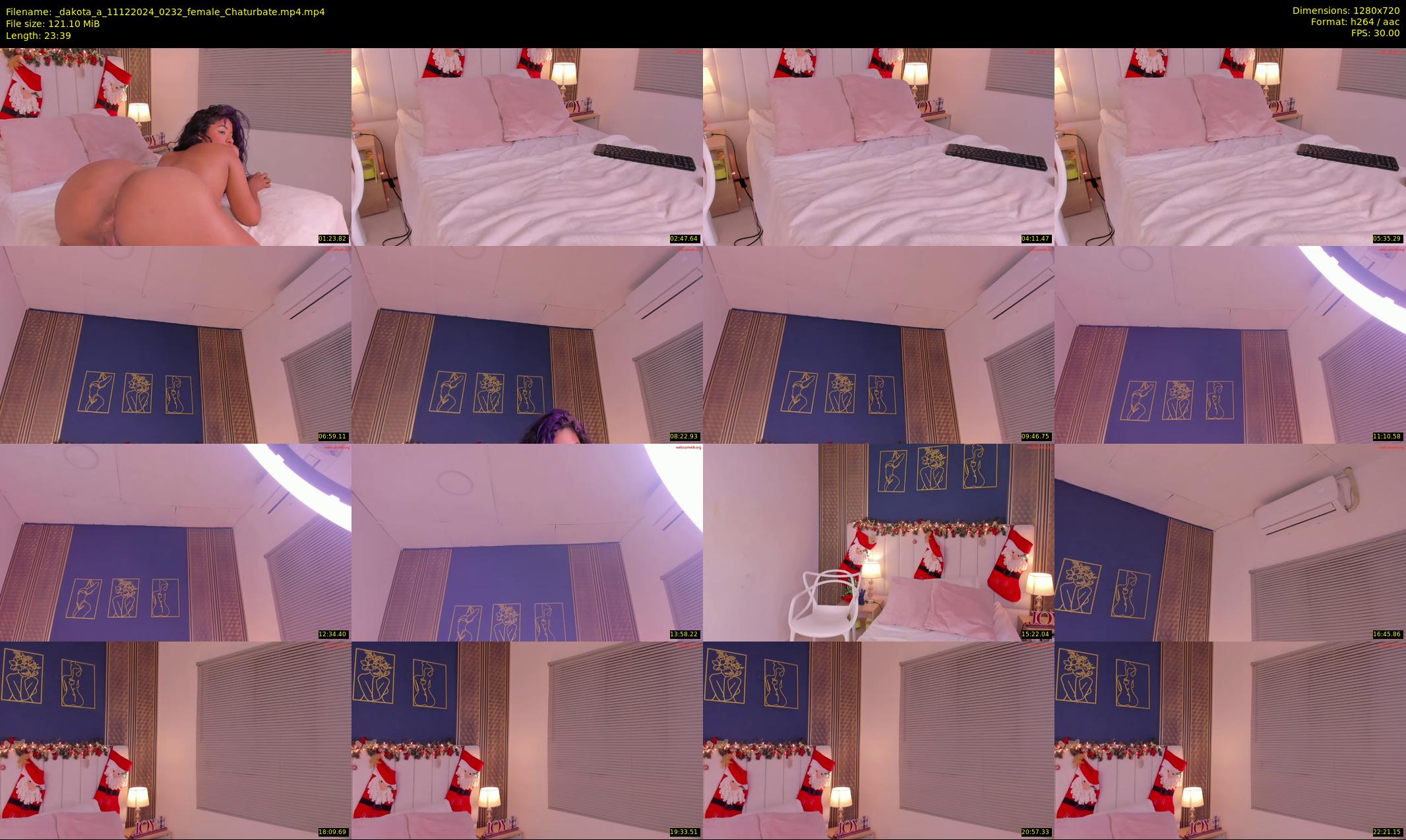 _dakota_a — 24 minute Chaturbate female cam show recording, 720p, Dec 11, 2024
