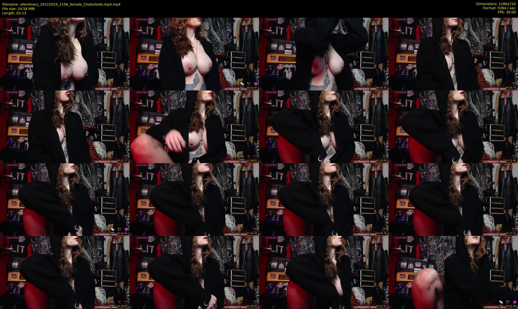 silentmary — 4 minute Chaturbate female cam show recording, 720p, Dec 10, 2024