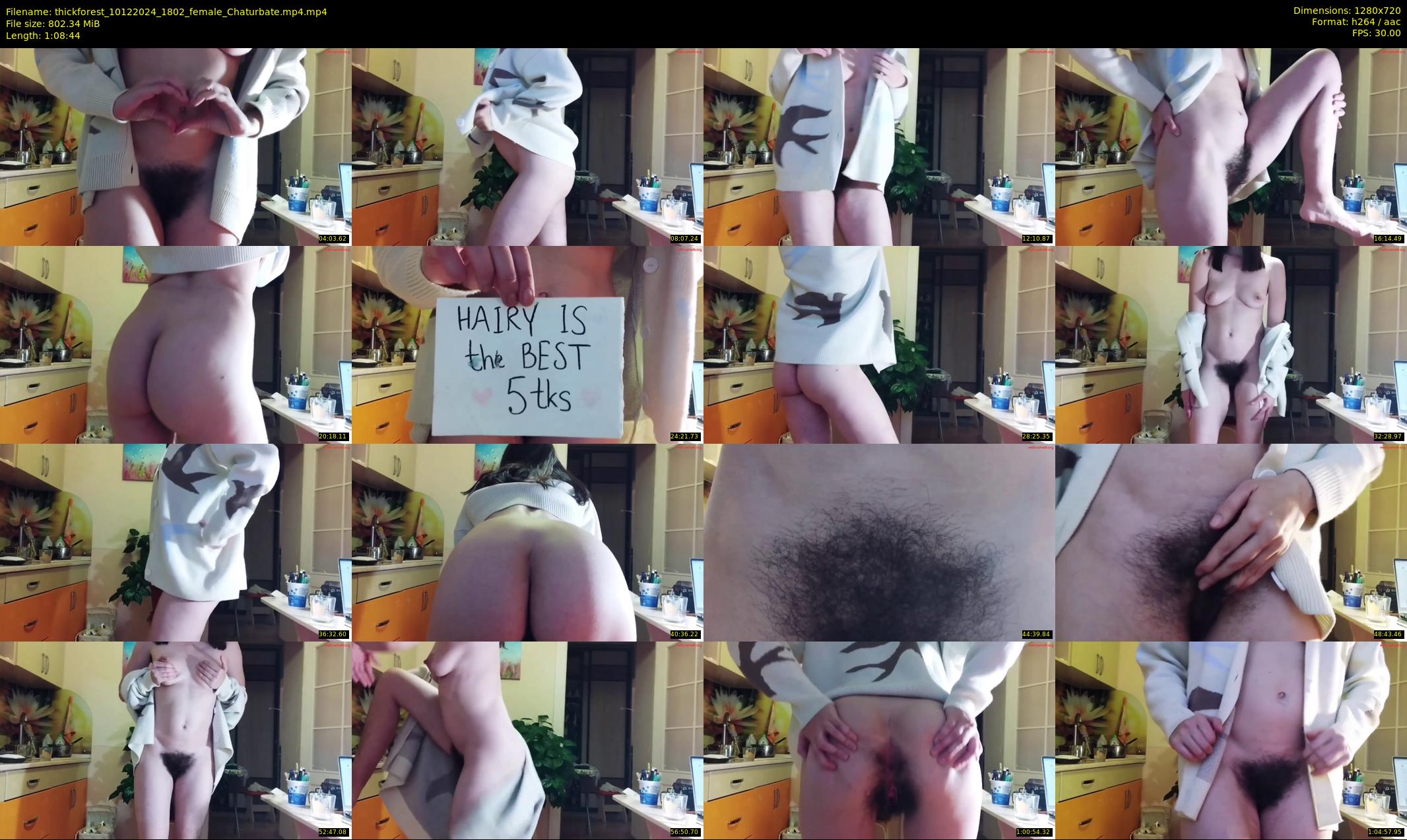 thickforest — 69 minute Chaturbate female cam show recording, 720p, Dec 10, 2024