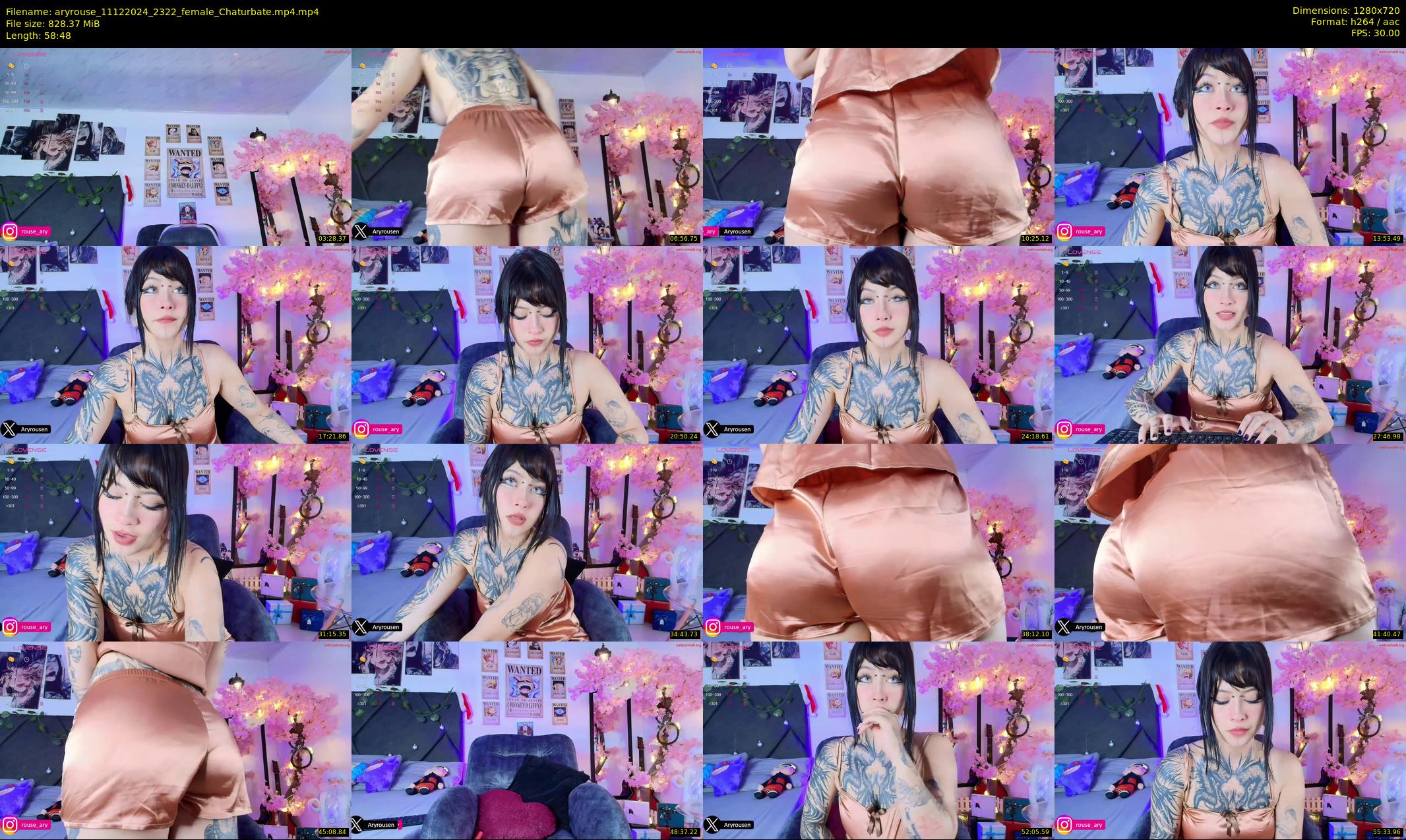 aryrouse — 59 minute Chaturbate female cam show recording, 720p, Dec 11, 2024
