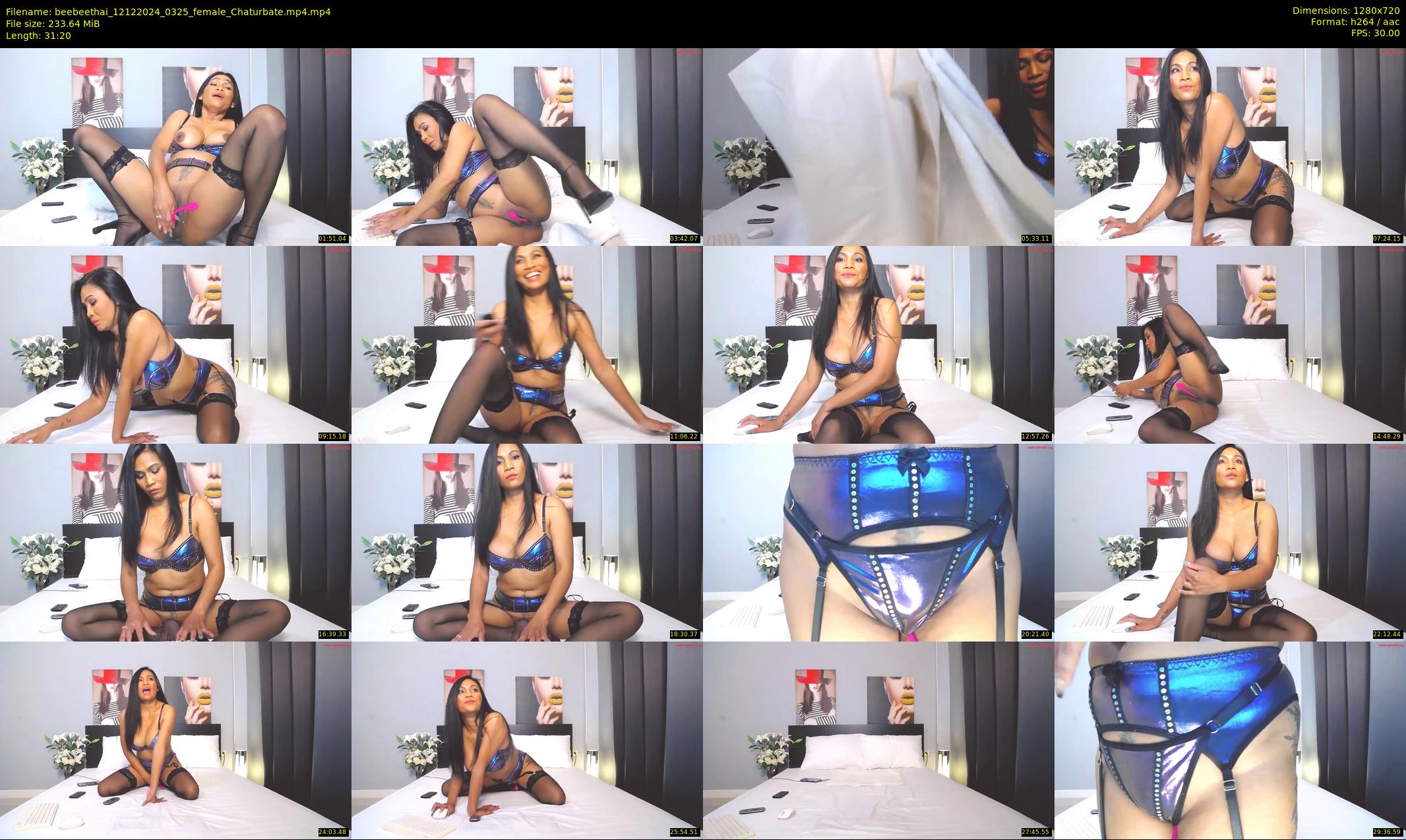 beebeethai — 32 minute Chaturbate female cam show recording, 720p, Dec 12, 2024