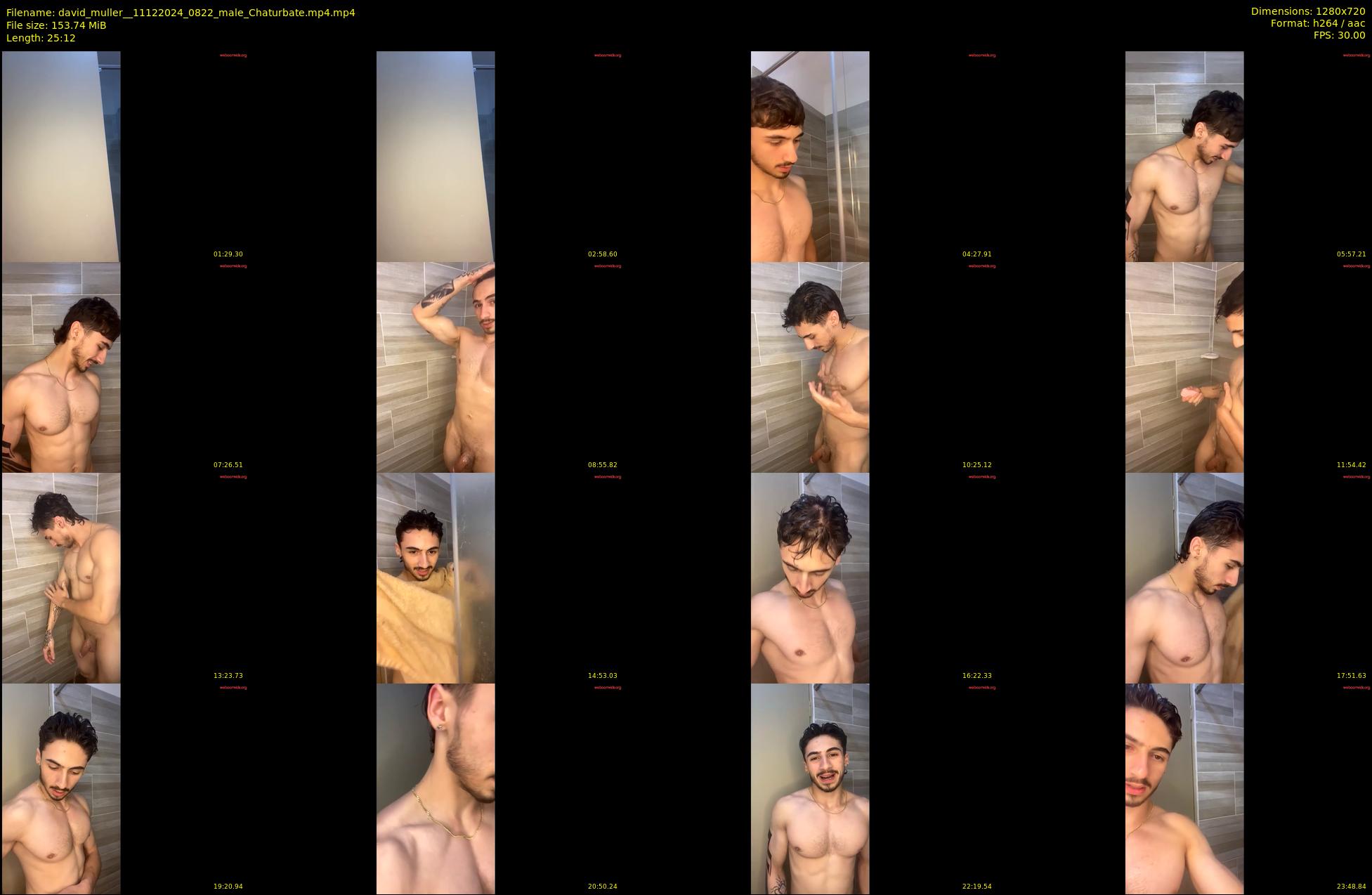 david_muller_ — 26 minute Chaturbate male cam show recording, 720p, Dec 11, 2024