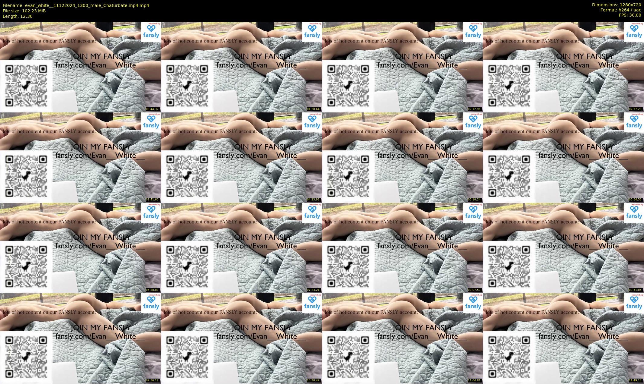 evan_white_ — 13 minute Chaturbate male cam show recording, 720p, Dec 11, 2024