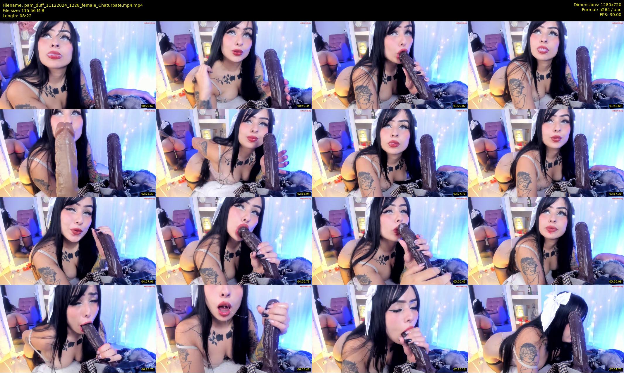 pam_duff — 9 minute Chaturbate female cam show recording, 720p, Dec 11, 2024
