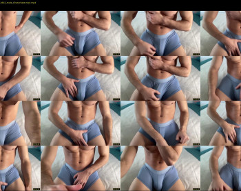 bestdick1991 — 6 minute Chaturbate male cam show recording, 720p, Dec 12, 2024