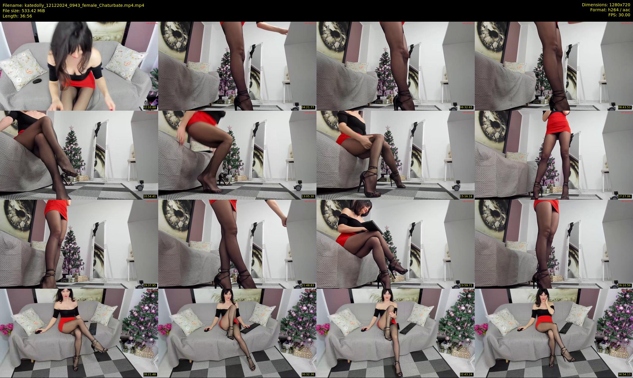 katedolly — 37 minute Chaturbate female cam show recording, 720p, Dec 12, 2024