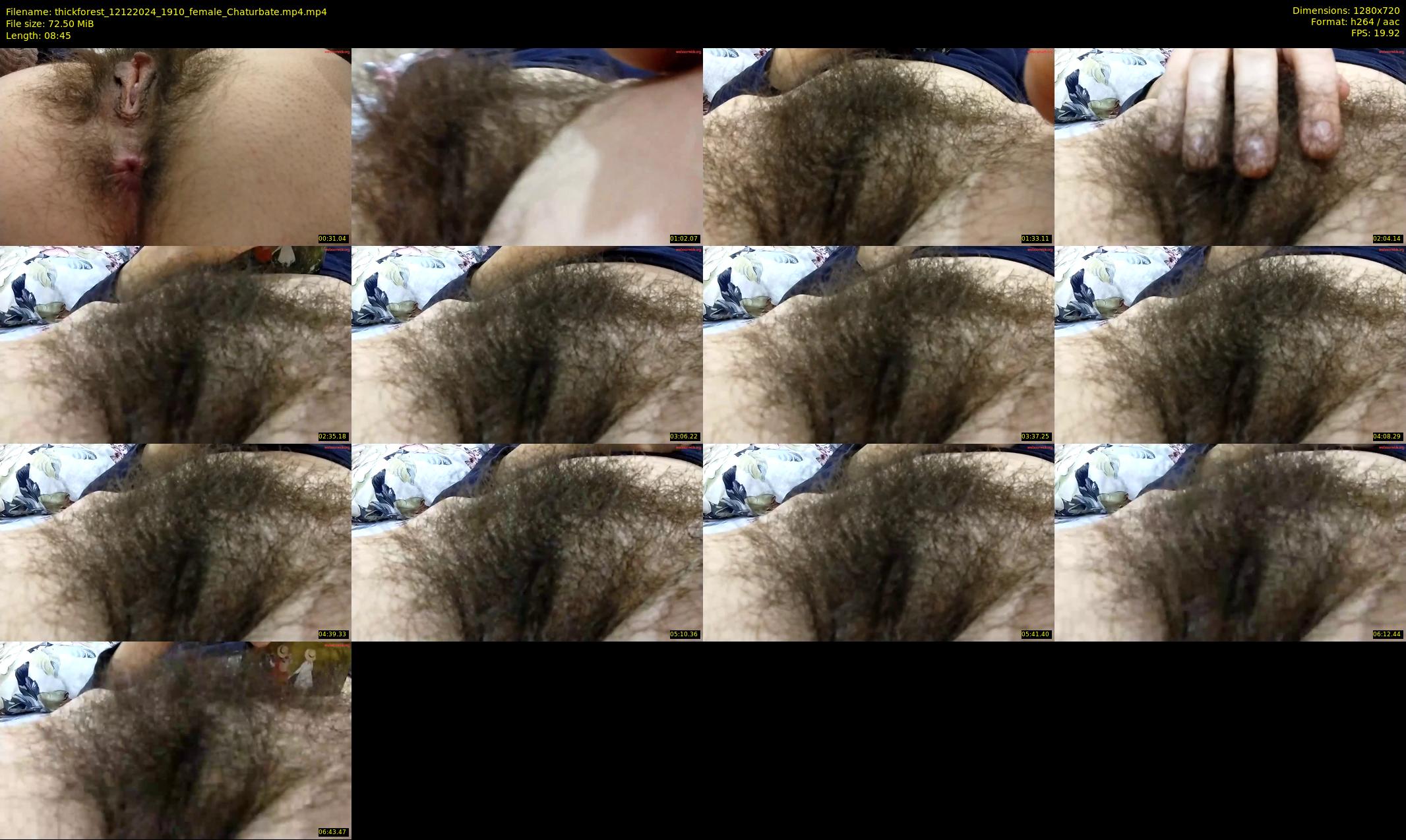 thickforest — 9 minute Chaturbate female cam show recording, 720p, Dec 12, 2024