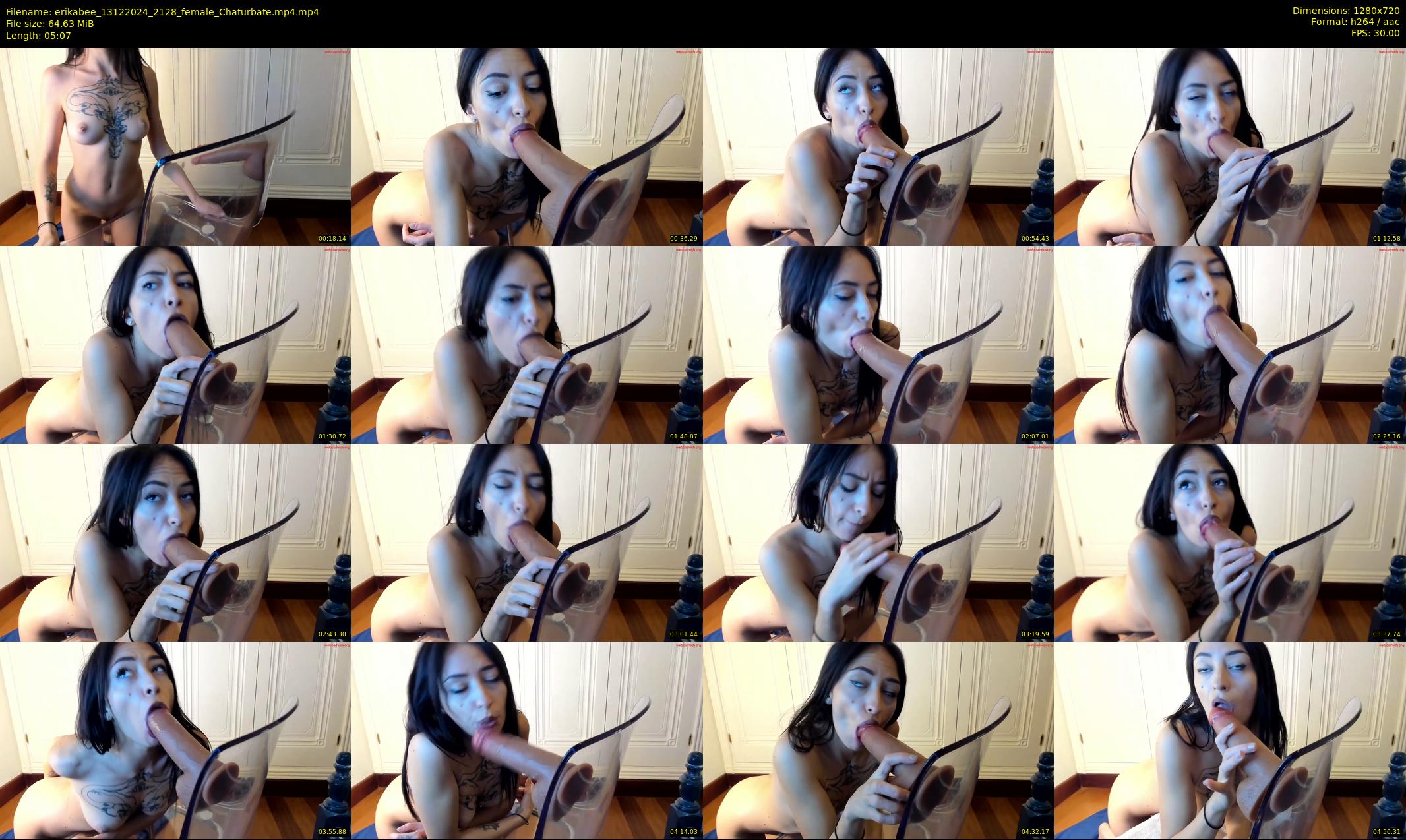 erikabee — 6 minute Chaturbate female cam show recording, 720p, Dec 13, 2024