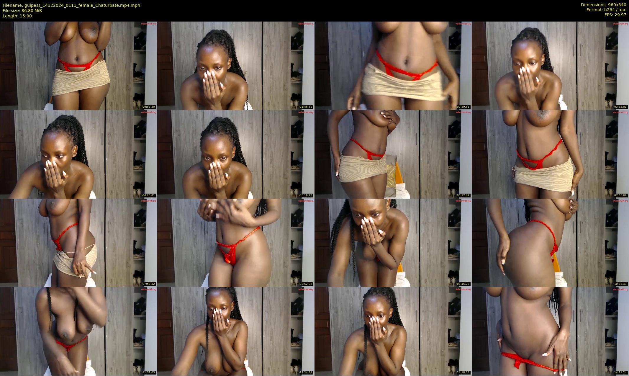 gulpess — 15 minute Chaturbate female cam show recording, 480p, Dec 14, 2024