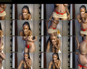 gulpess — 15 minute Chaturbate female cam show recording, 480p, Dec 14, 2024