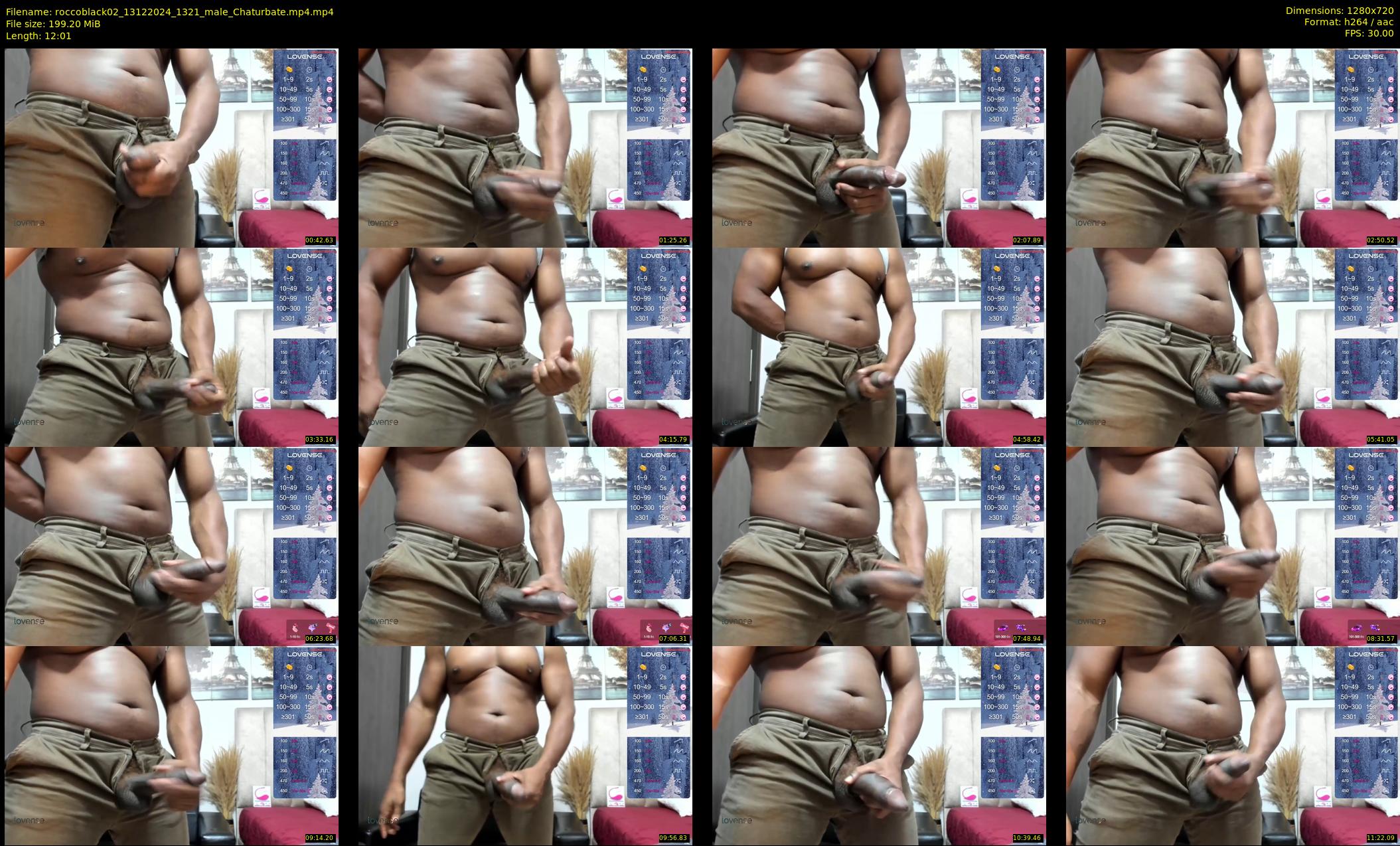 roccoblack02 — 13 minute Chaturbate male cam show recording, 720p, Dec 13, 2024