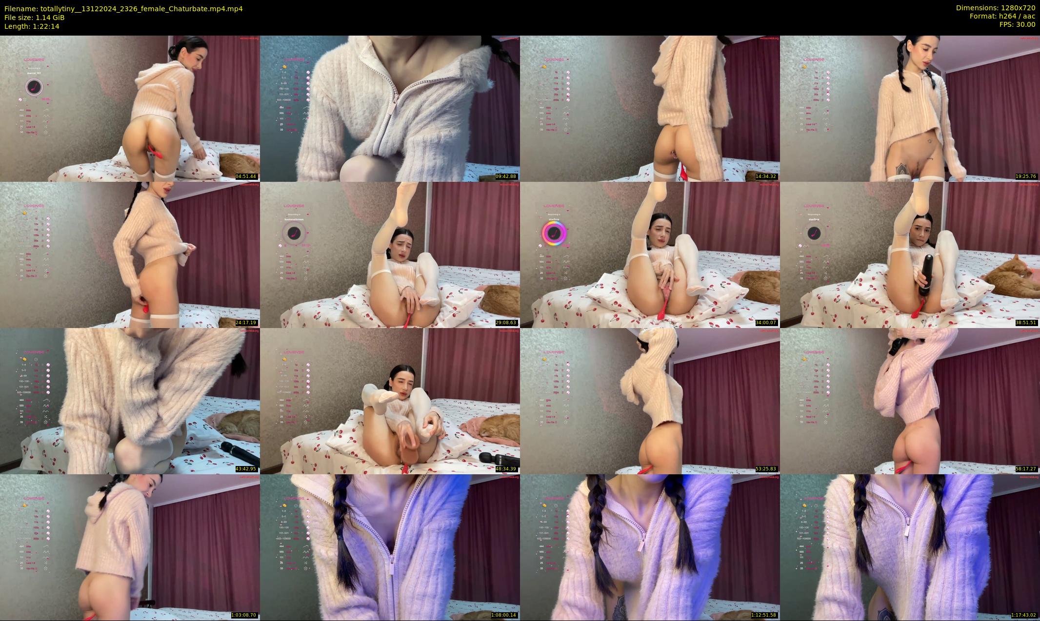 totallytiny_ — 83 minute Chaturbate female cam show recording, 720p, Dec 13, 2024