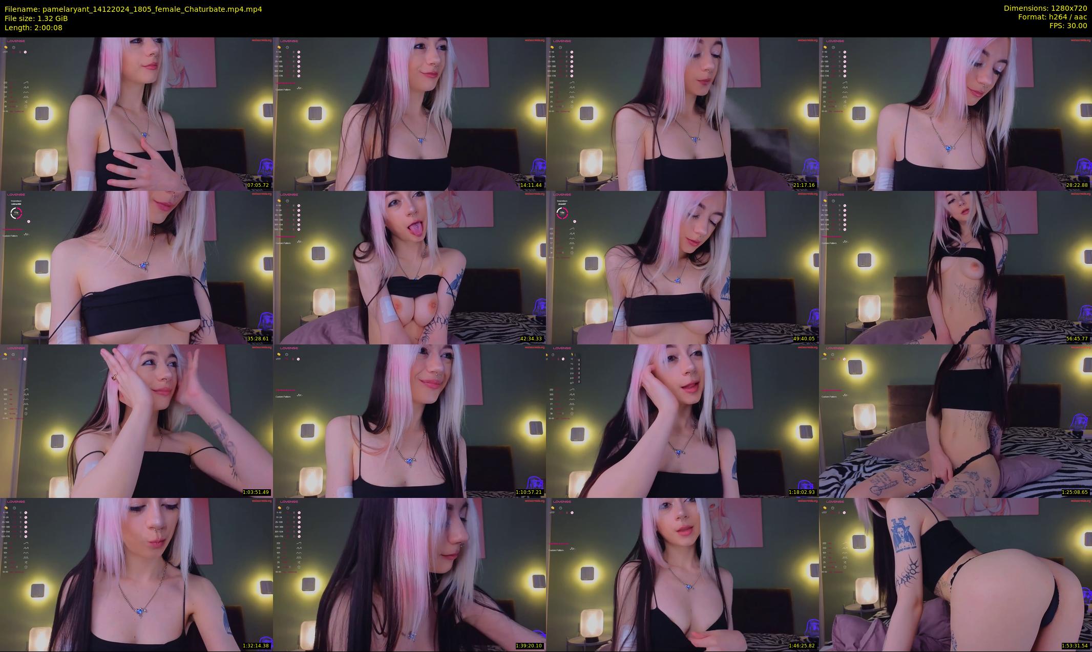 pamelaryant — 121 minute Chaturbate female cam show recording, 720p, Dec 14, 2024
