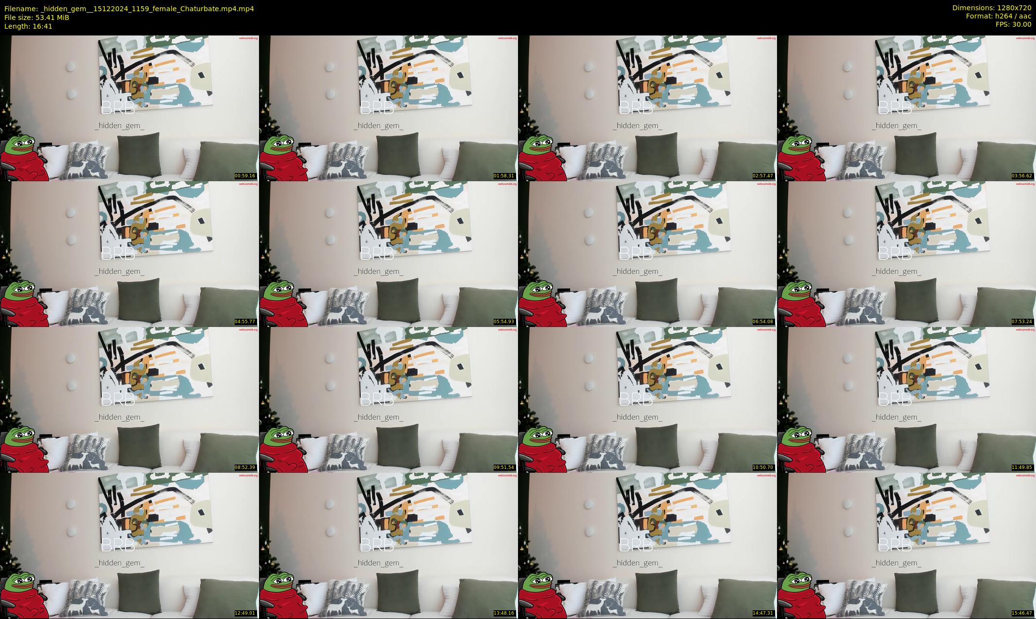 _hidden_gem_ — 17 minute Chaturbate female cam show recording, 720p, Dec 15, 2024