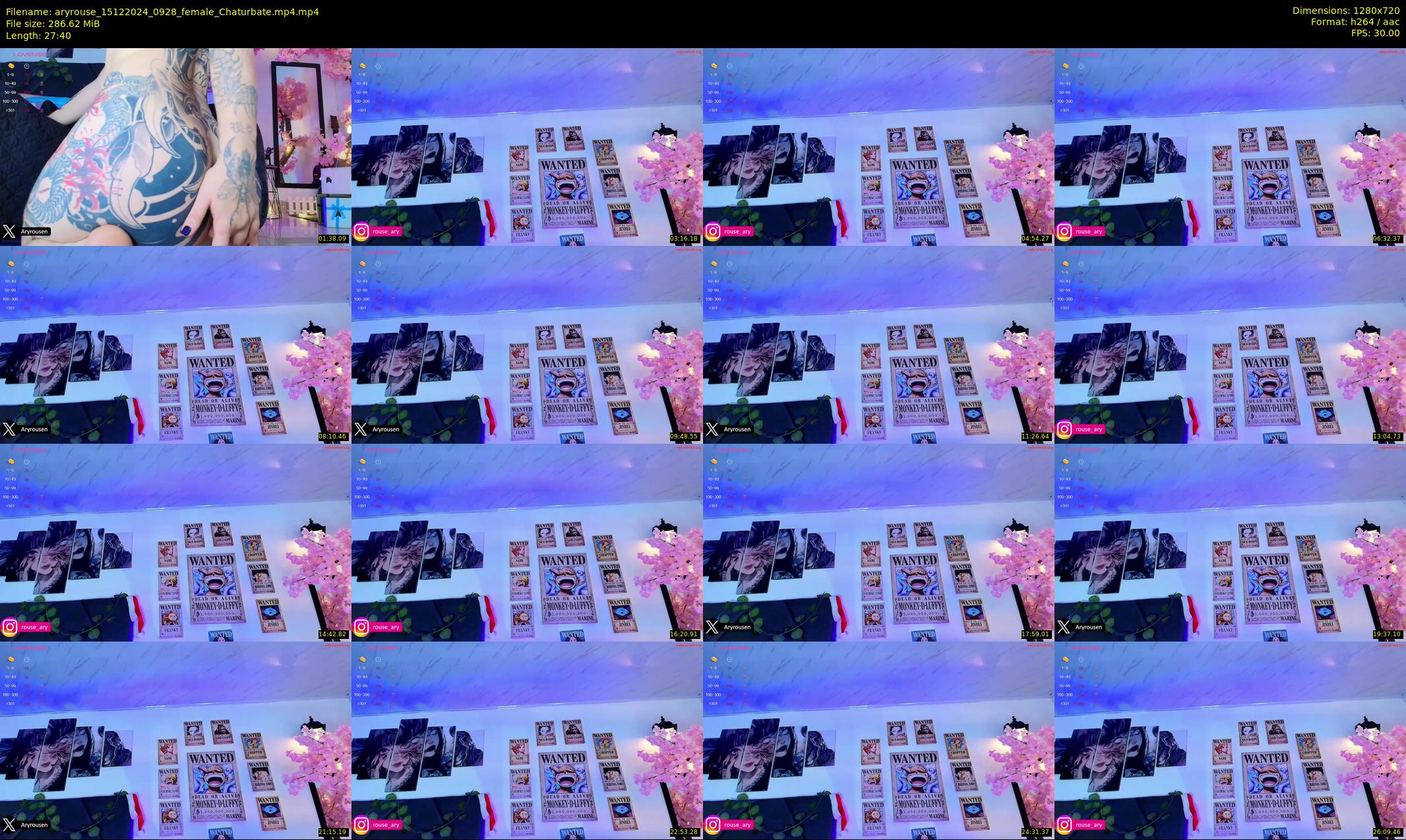 aryrouse — 28 minute Chaturbate female cam show recording, 720p, Dec 15, 2024