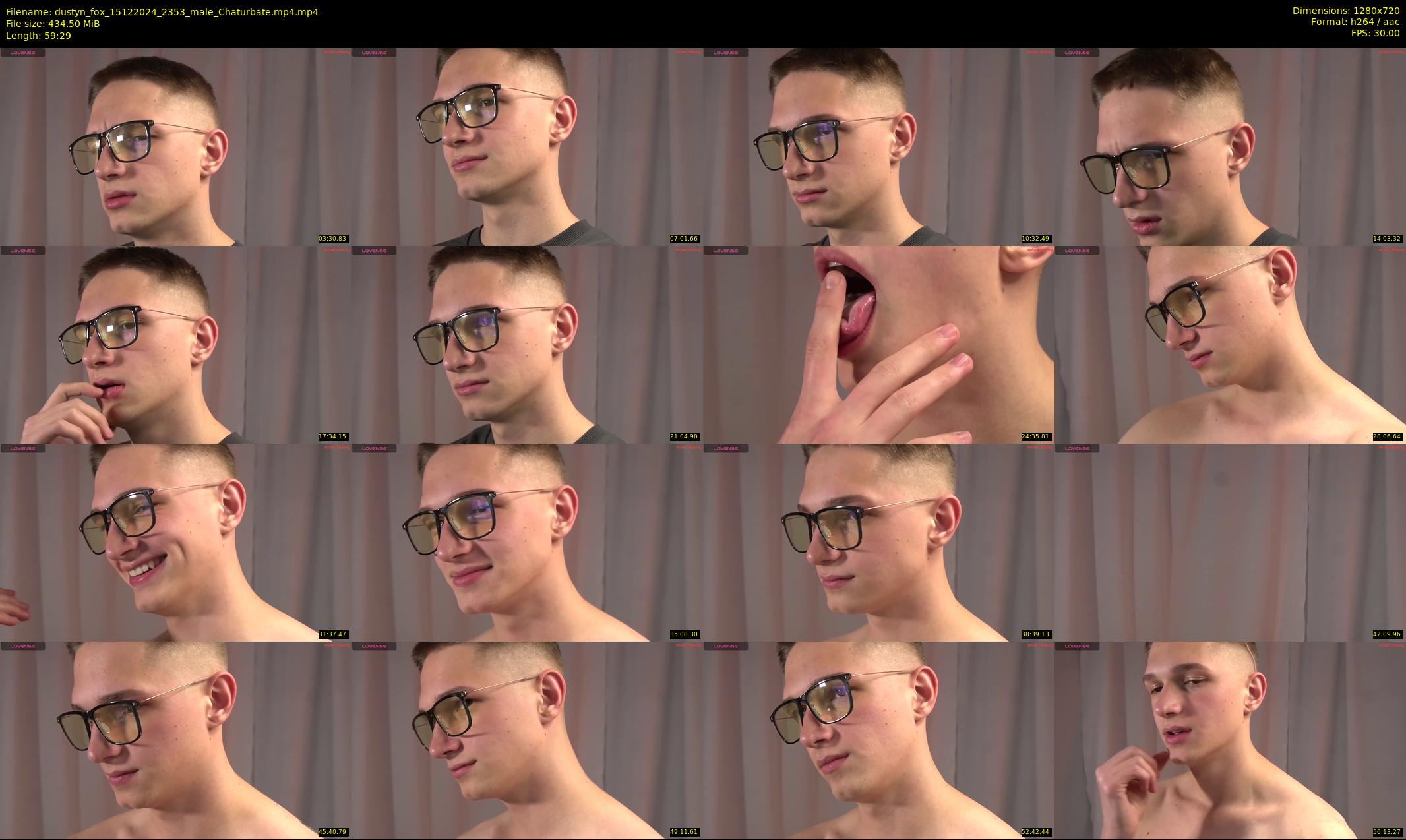 dustyn_fox — 60 minute Chaturbate male cam show recording, 720p, Dec 15, 2024