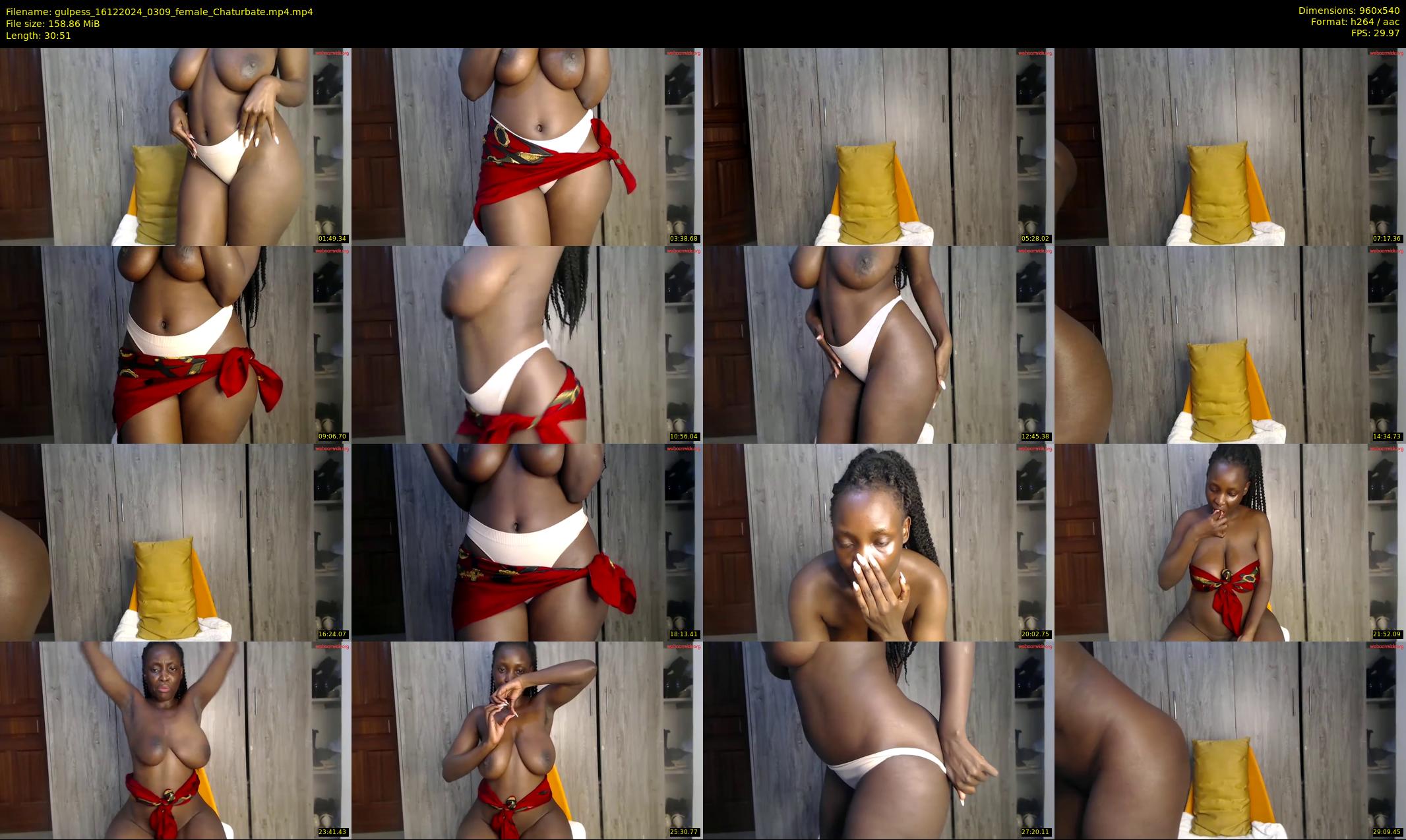 gulpess — 31 minute Chaturbate female cam show recording, 480p, Dec 16, 2024