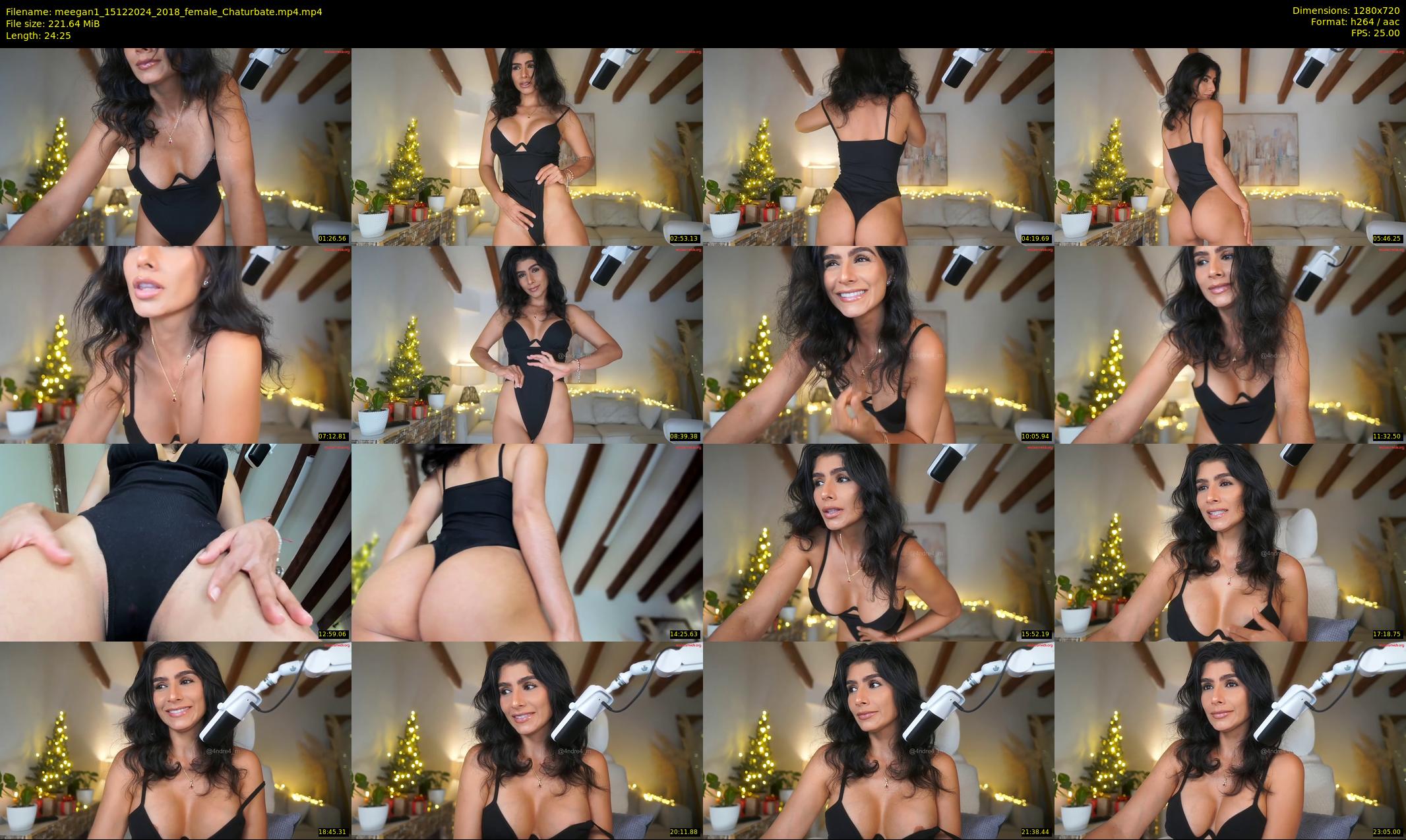 meegan1 — 25 minute Chaturbate female cam show recording, 720p, Dec 15, 2024