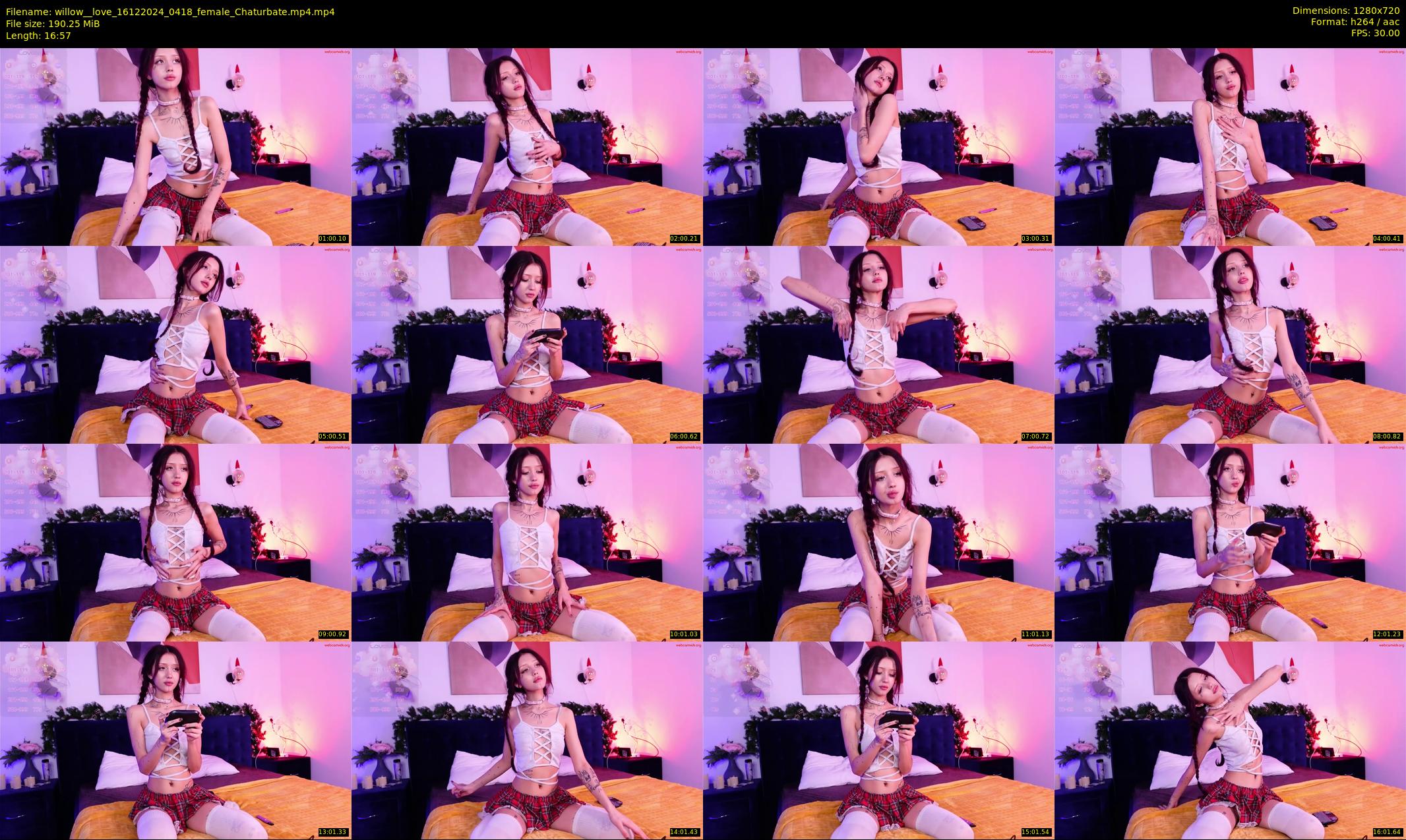 willow__love — 17 minute Chaturbate female cam show recording, 720p, Dec 16, 2024