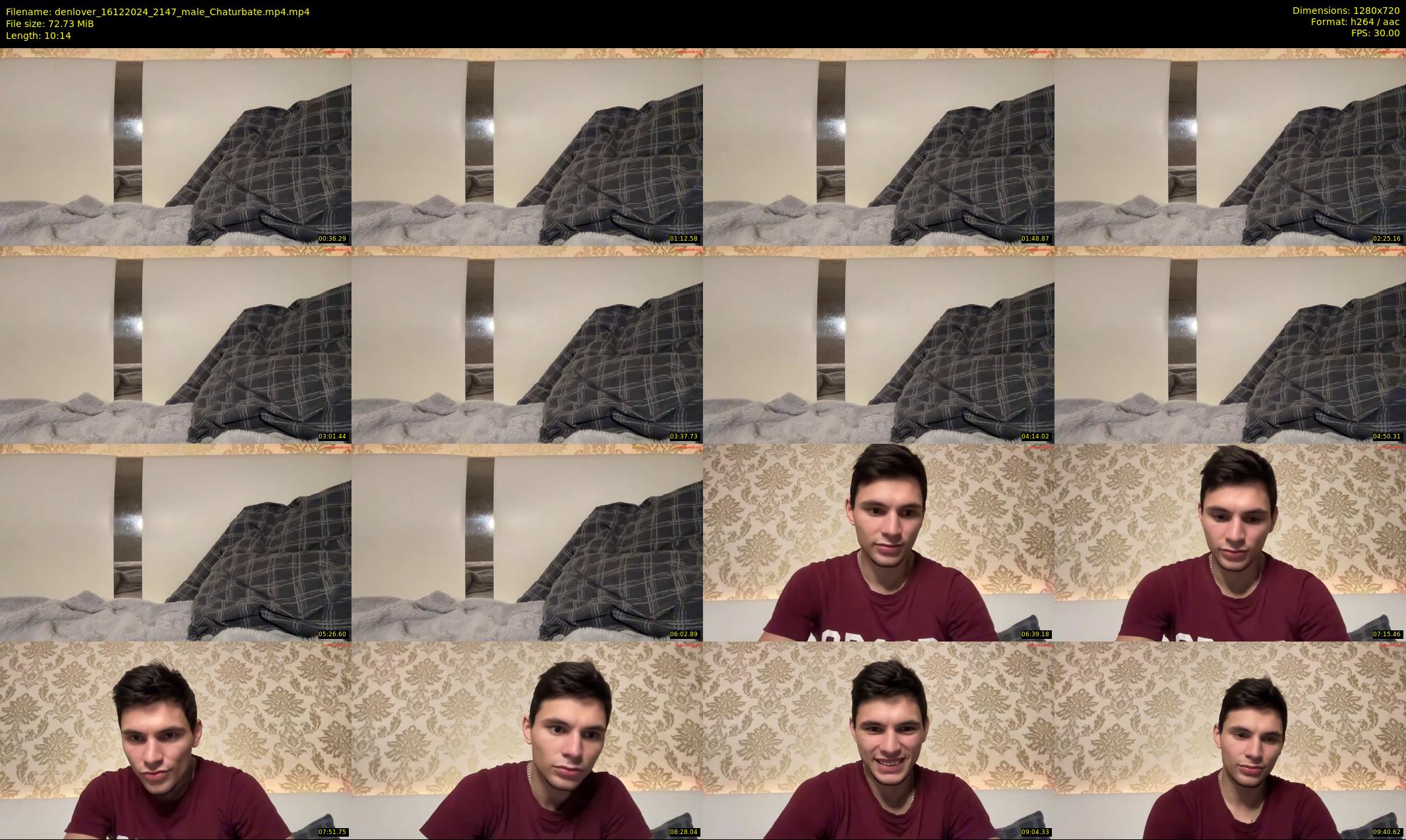 denlover — 11 minute Chaturbate male cam show recording, 720p, Dec 16, 2024