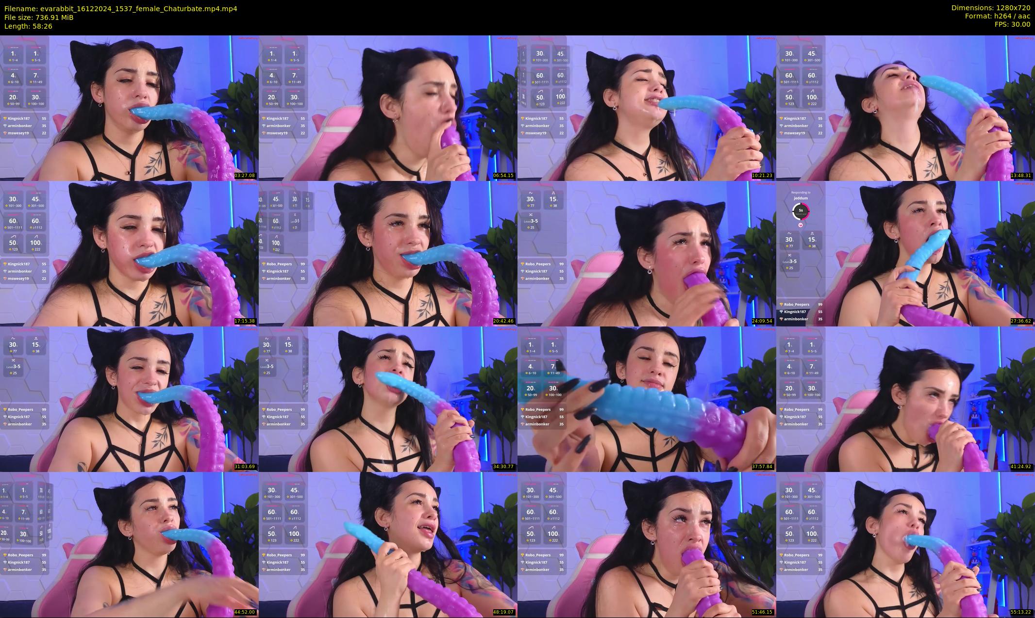 evarabbit — 59 minute Chaturbate female cam show recording, 720p, Dec 16, 2024