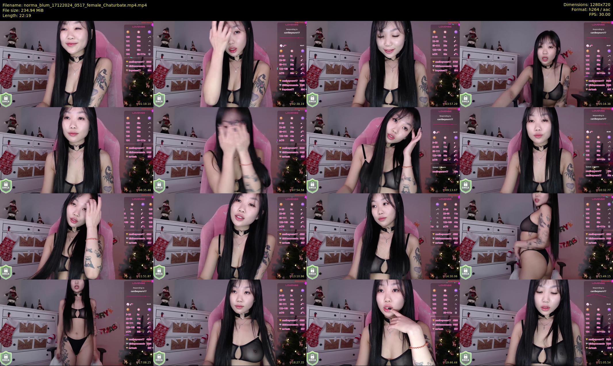 norma_blum — 23 minute Chaturbate female cam show recording, 720p, Dec 17, 2024