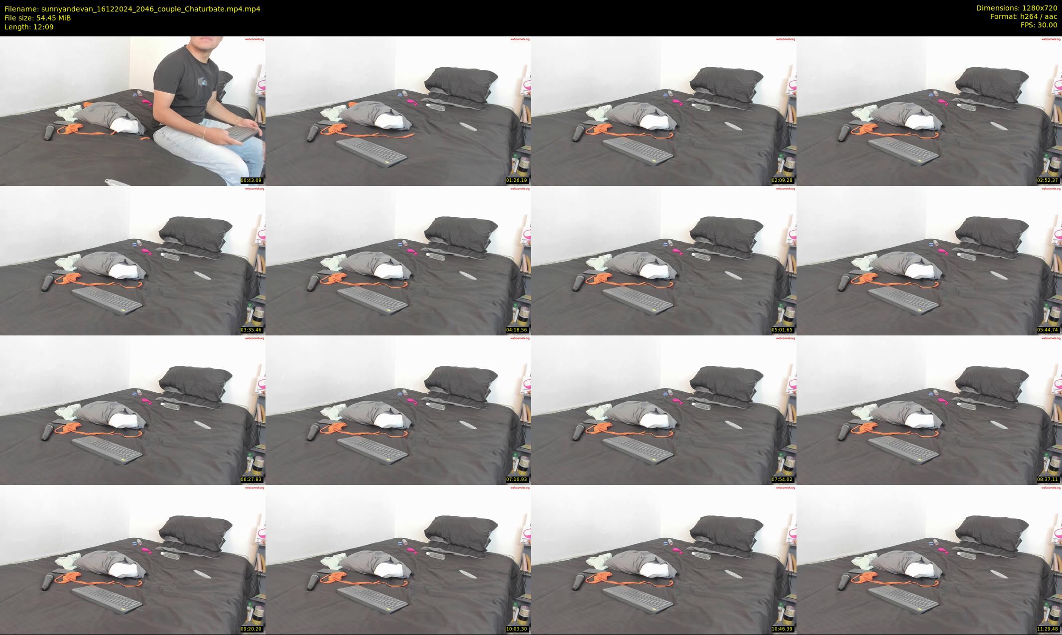 sunnyandevan — 13 minute Chaturbate couple cam show recording, 720p, Dec 16, 2024