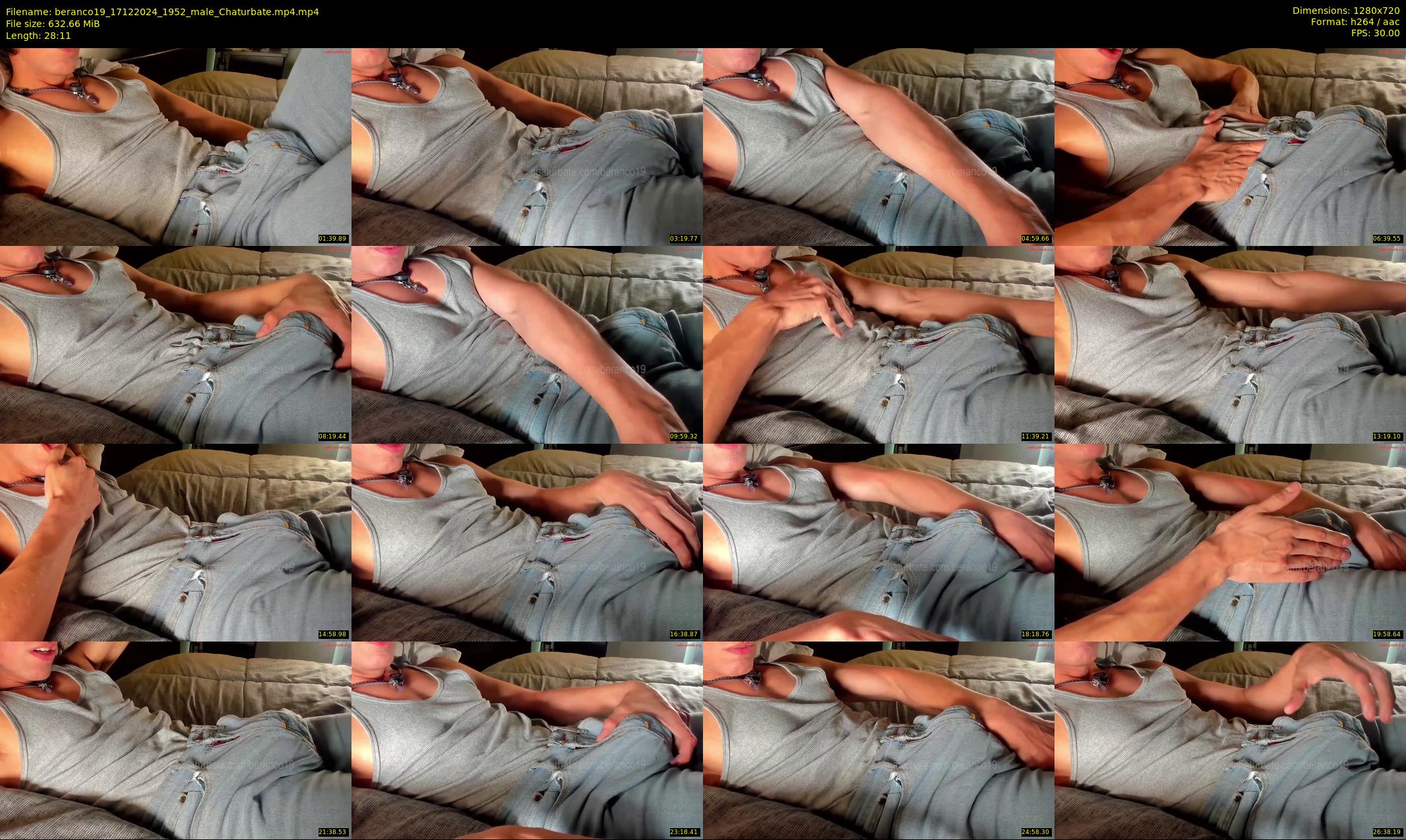 beranco19 — 29 minute Chaturbate male cam show recording, 720p, Dec 17, 2024