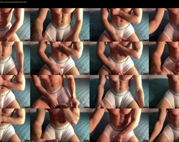 bestdick1991 — 23 minute Chaturbate male cam show recording, 720p, Dec 17, 2024