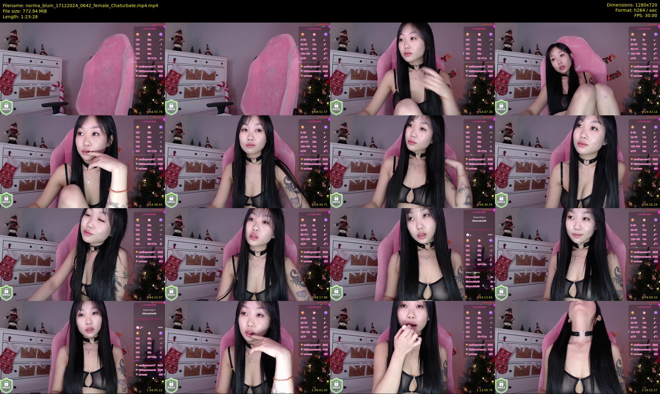 norma_blum — 84 minute Chaturbate female cam show recording, 720p, Dec 17, 2024