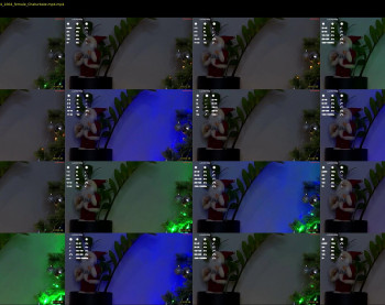 taitehambelton — 29 minute Chaturbate female cam show recording, 720p, Dec 18, 2024