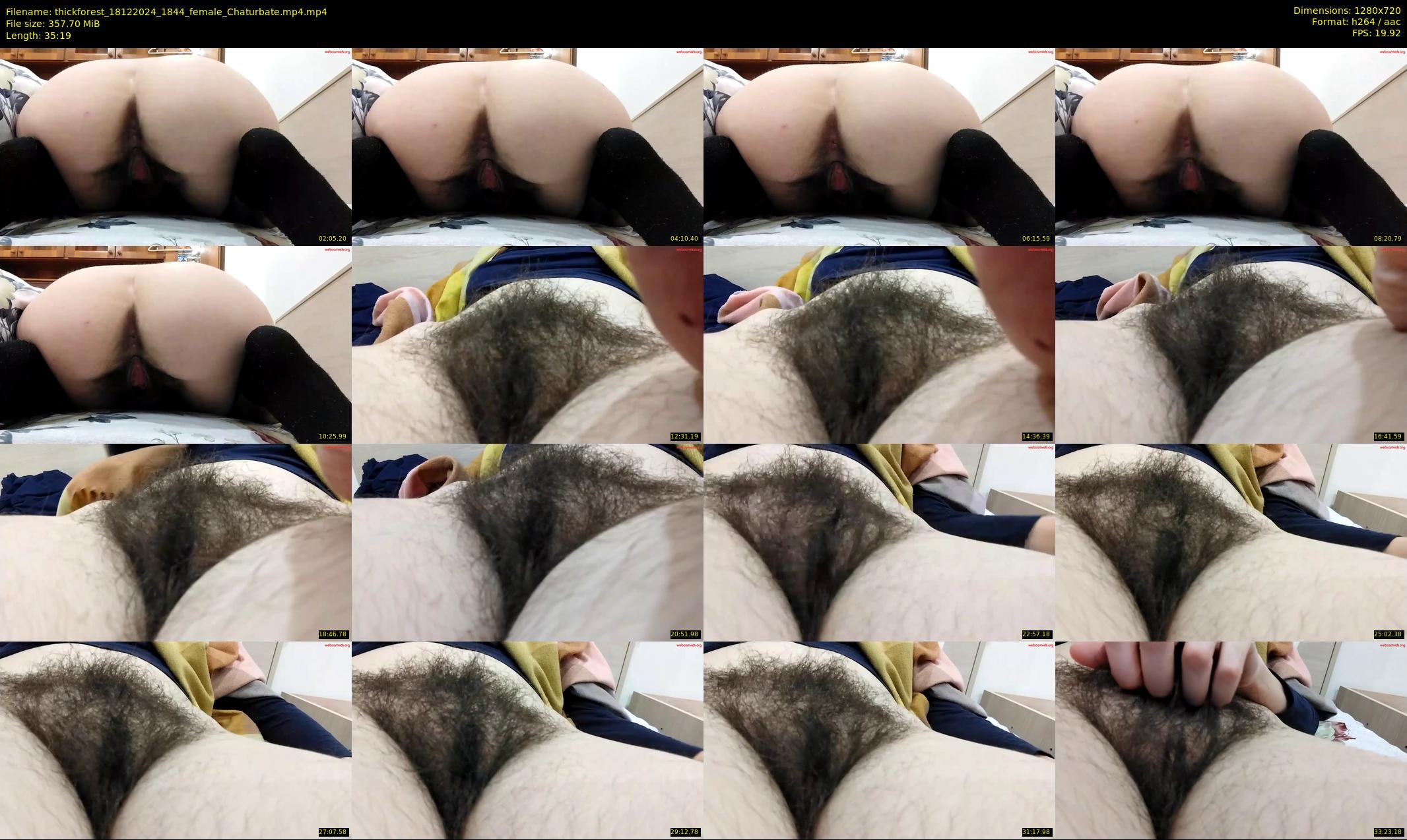 thickforest — 36 minute Chaturbate female cam show recording, 720p, Dec 18, 2024