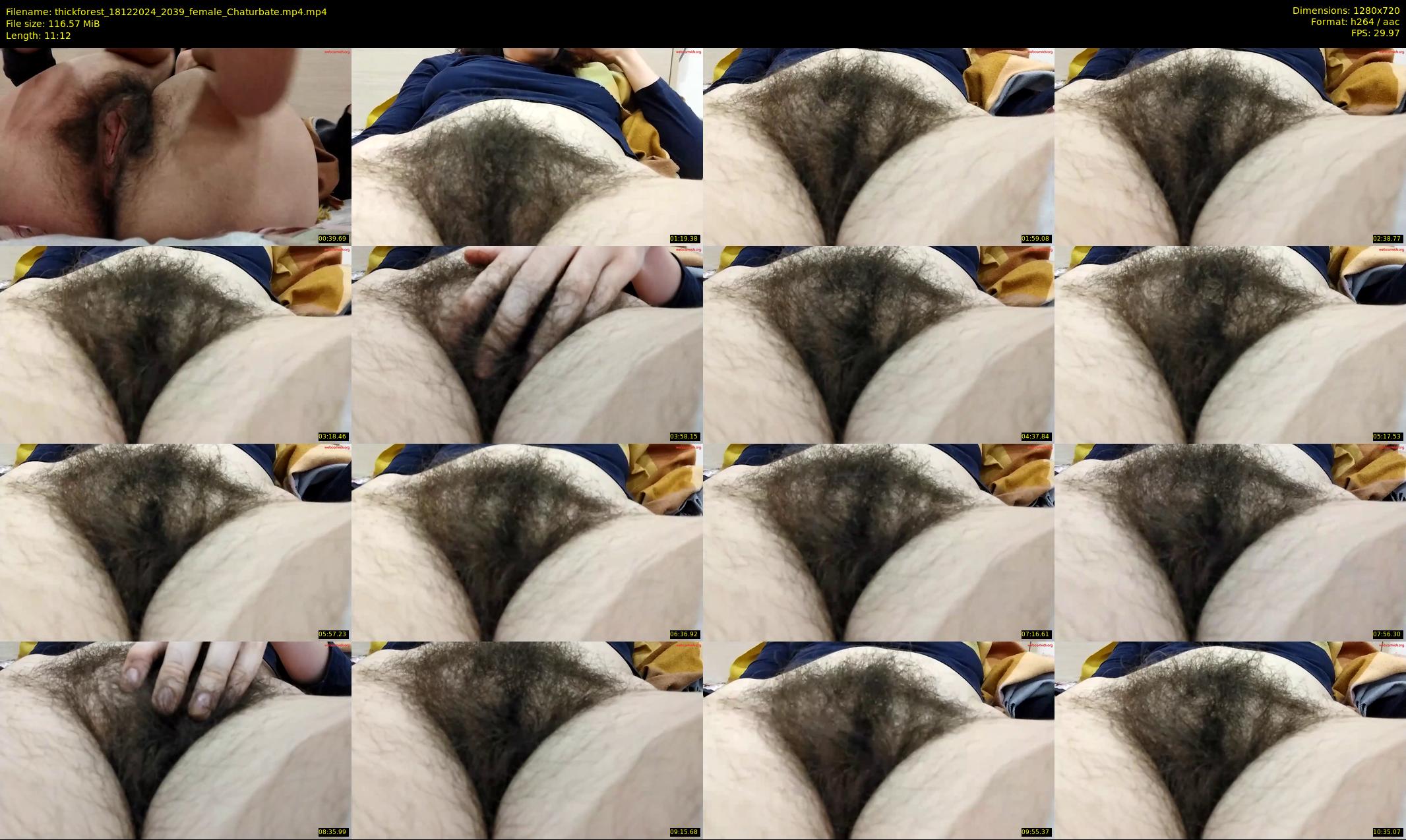thickforest — 12 minute Chaturbate female cam show recording, 720p, Dec 18, 2024