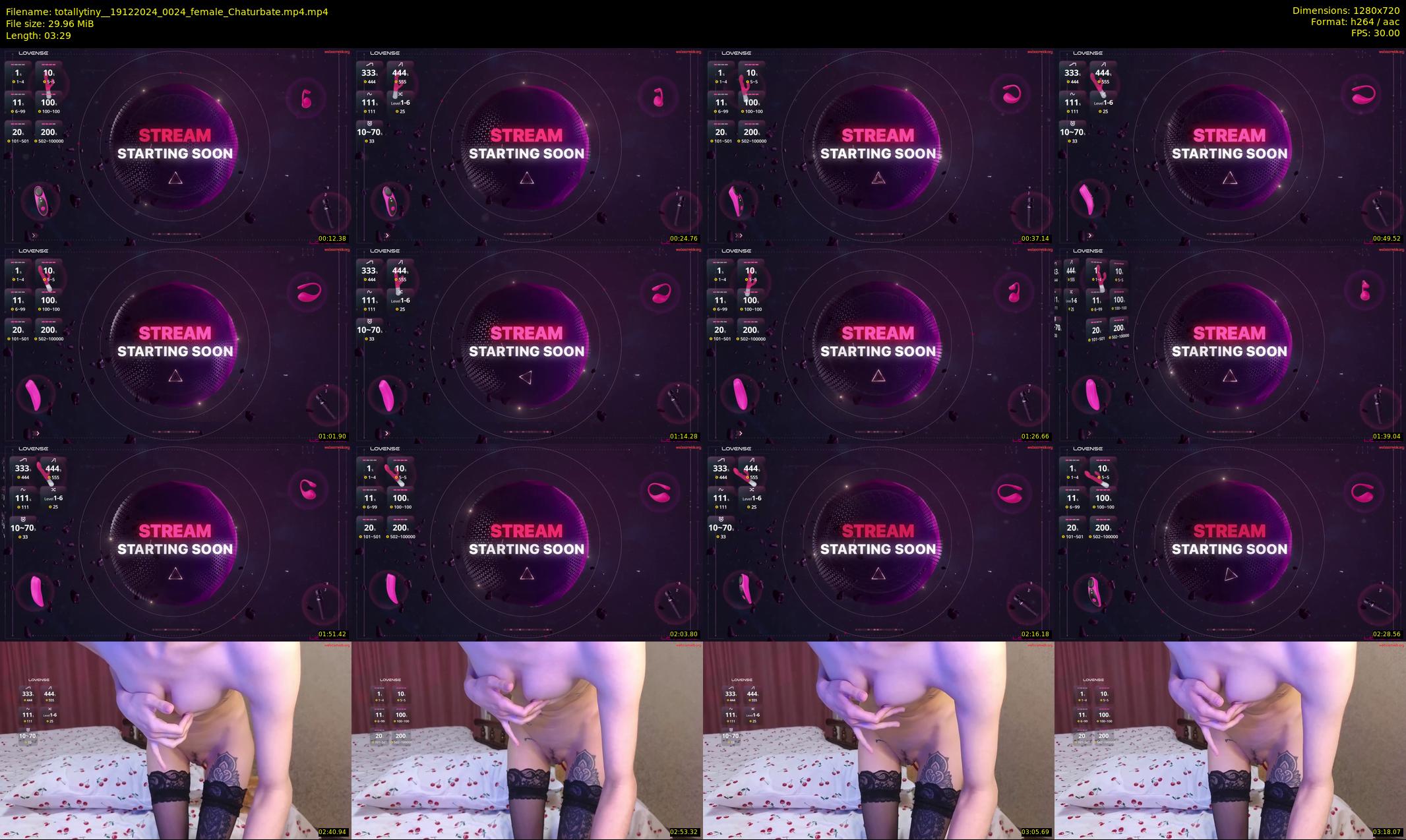 totallytiny_ — 4 minute Chaturbate female cam show recording, 720p, Dec 19, 2024