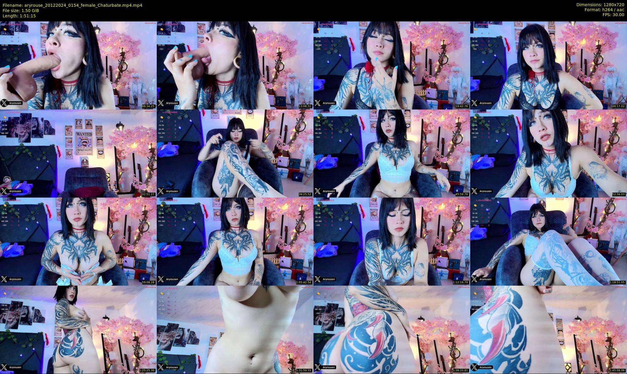 aryrouse — 112 minute Chaturbate female cam show recording, 720p, Dec 20, 2024