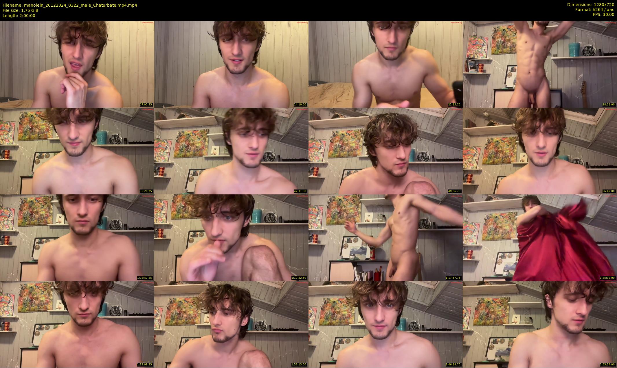 manolein — 120 minute Chaturbate male cam show recording, 720p, Dec 20, 2024