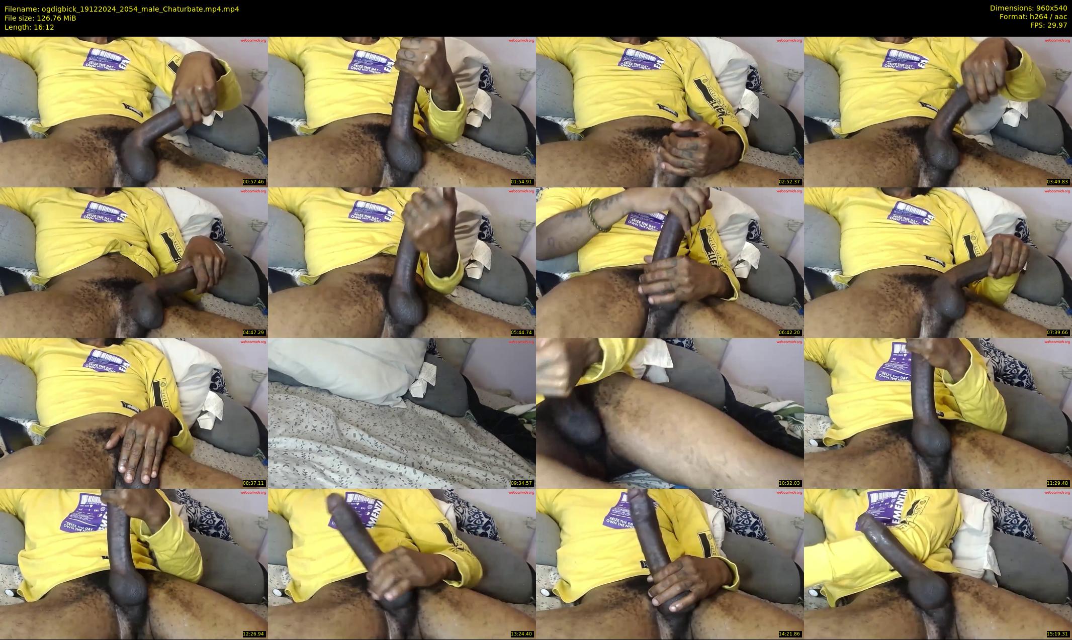 ogdigbick — 17 minute Chaturbate male cam show recording, 480p, Dec 19, 2024