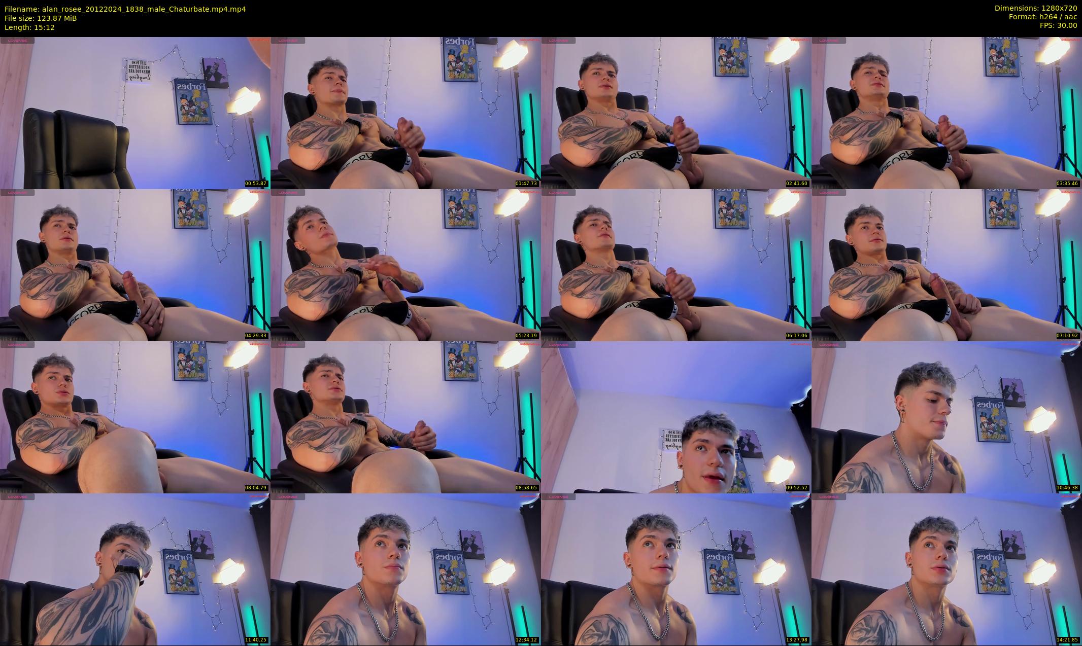 alan_rosee — 16 minute Chaturbate male cam show recording, 720p, Dec 20, 2024