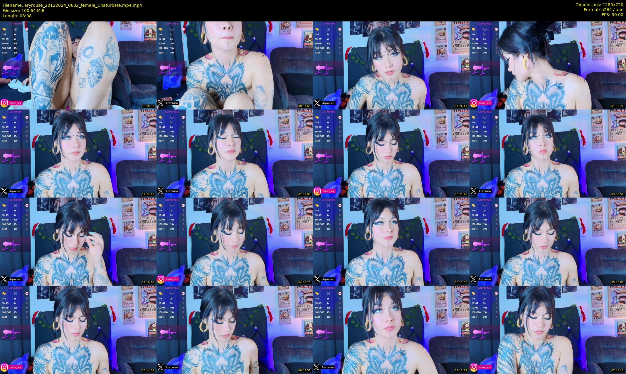 aryrouse — 9 minute Chaturbate female cam show recording, 720p, Dec 20, 2024