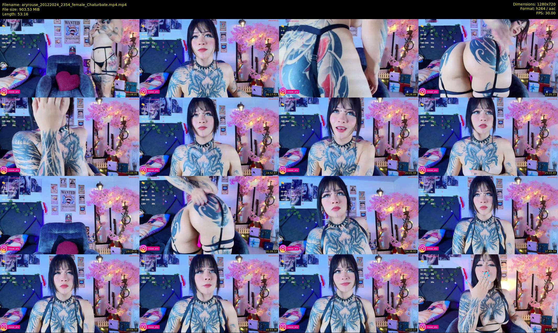 aryrouse — 54 minute Chaturbate female cam show recording, 720p, Dec 20, 2024