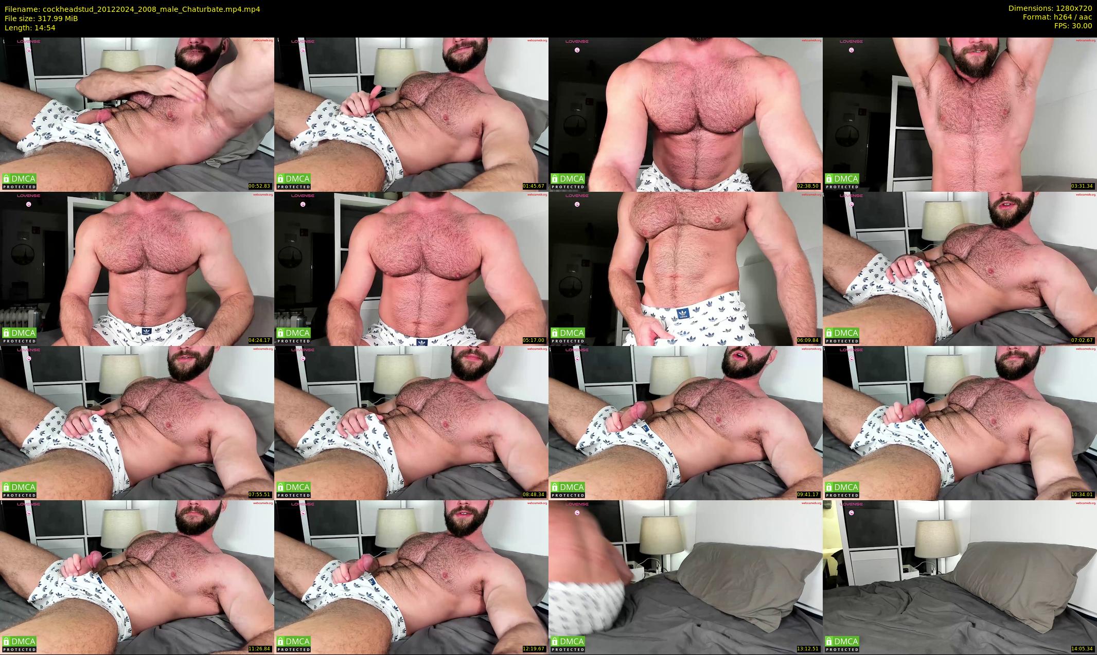 cockheadstud — 15 minute Chaturbate male cam show recording, 720p, Dec 20, 2024