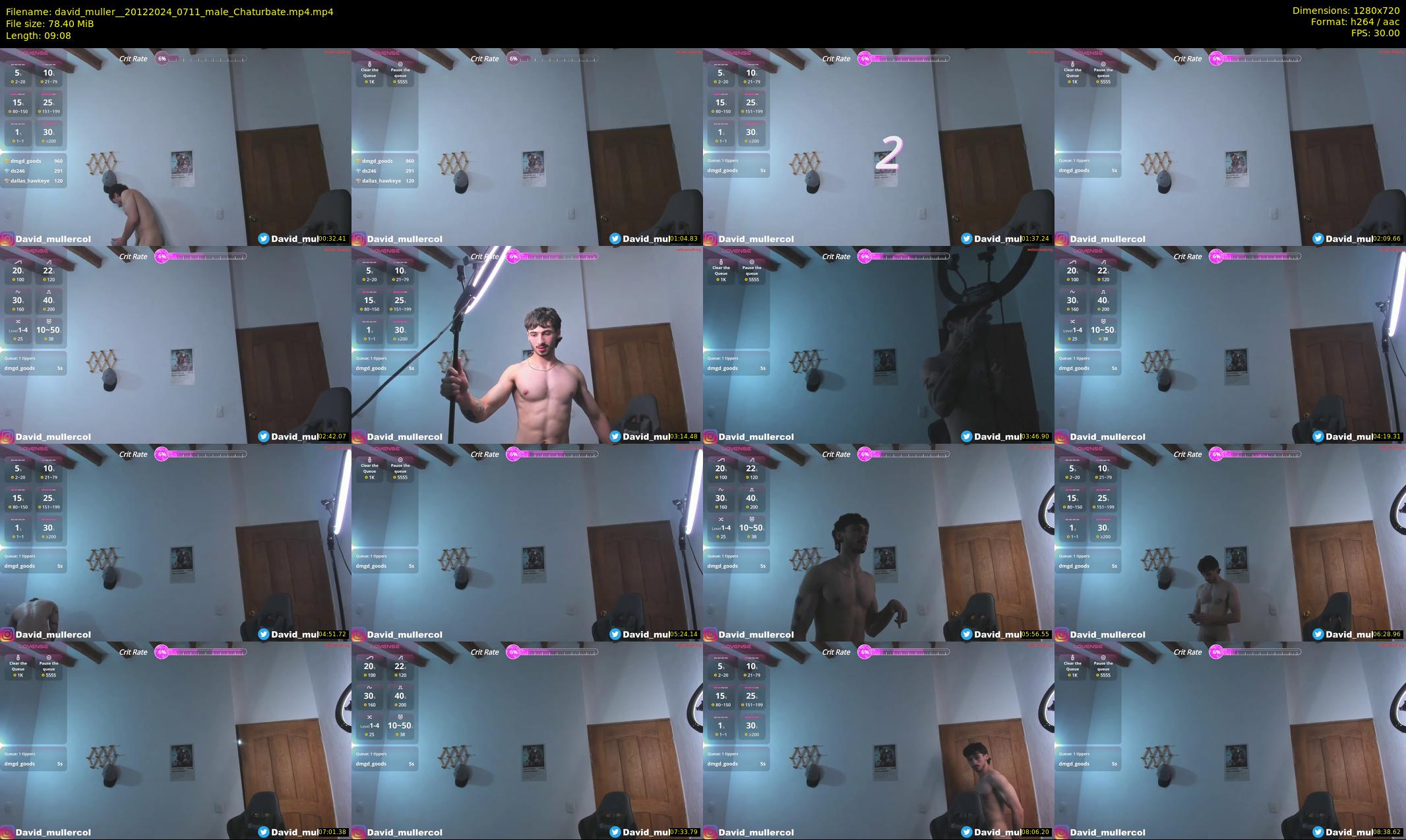 david_muller_ — 10 minute Chaturbate male cam show recording, 720p, Dec 20, 2024