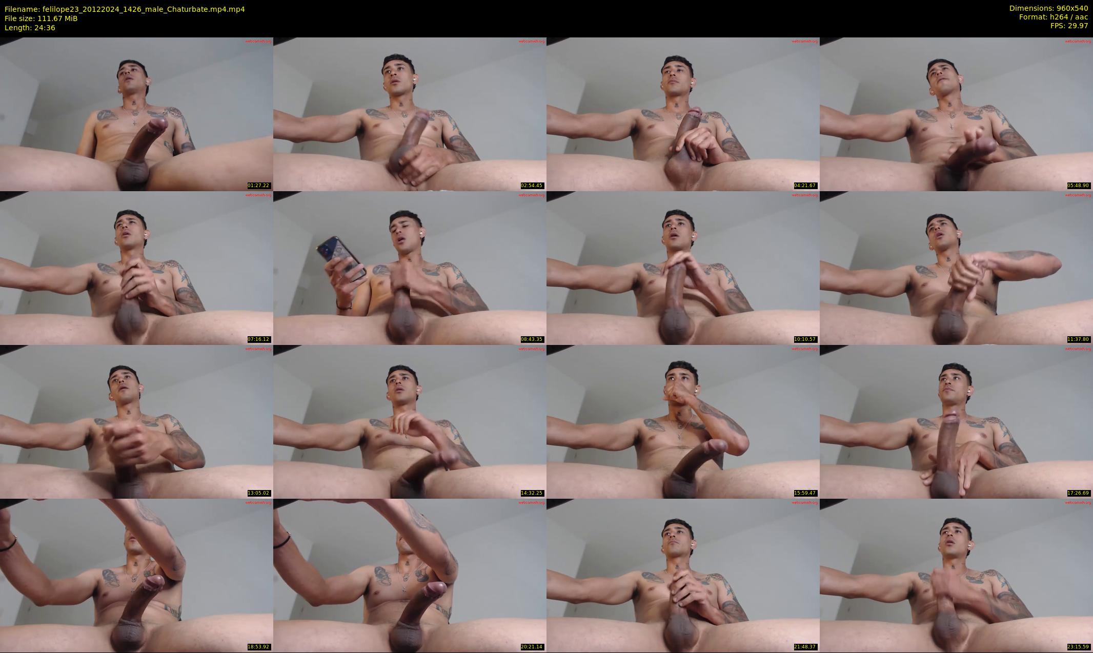 felilope23 — 25 minute Chaturbate male cam show recording, 480p, Dec 20, 2024