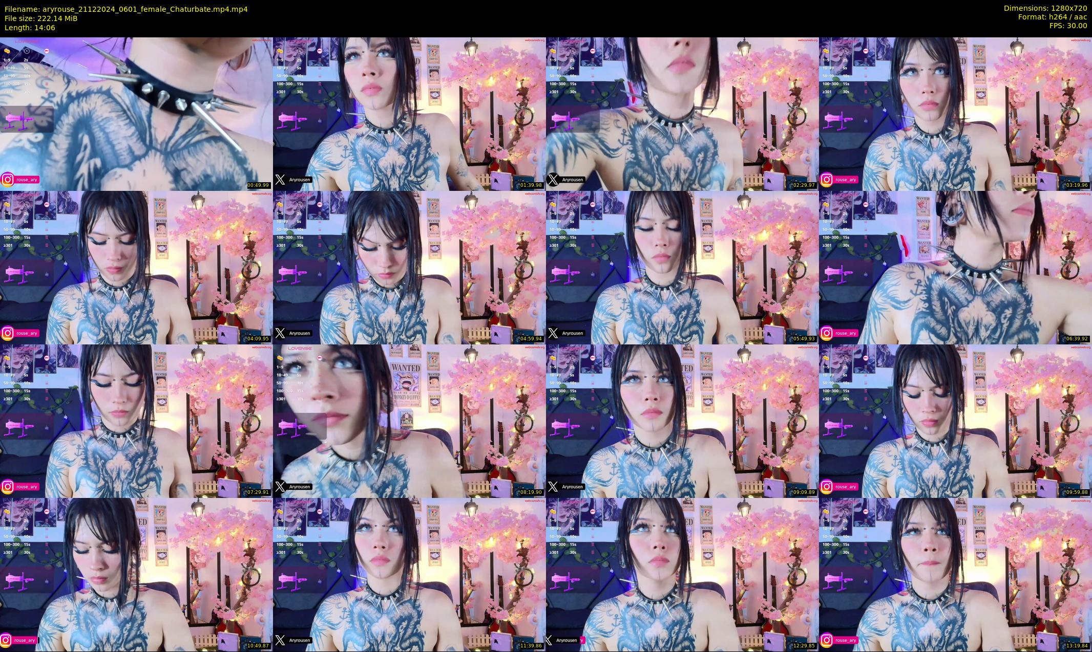 aryrouse — 15 minute Chaturbate female cam show recording, 720p, Dec 21, 2024
