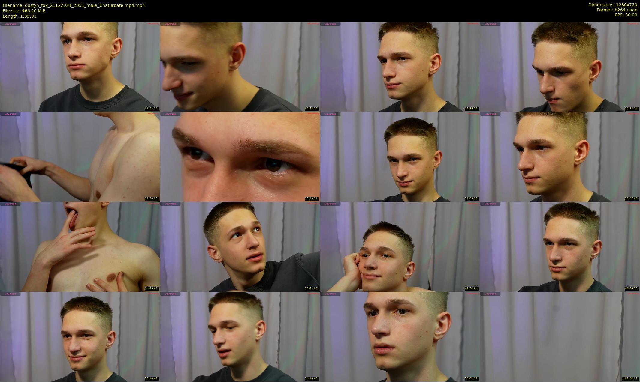 dustyn_fox — 66 minute Chaturbate male cam show recording, 720p, Dec 21, 2024