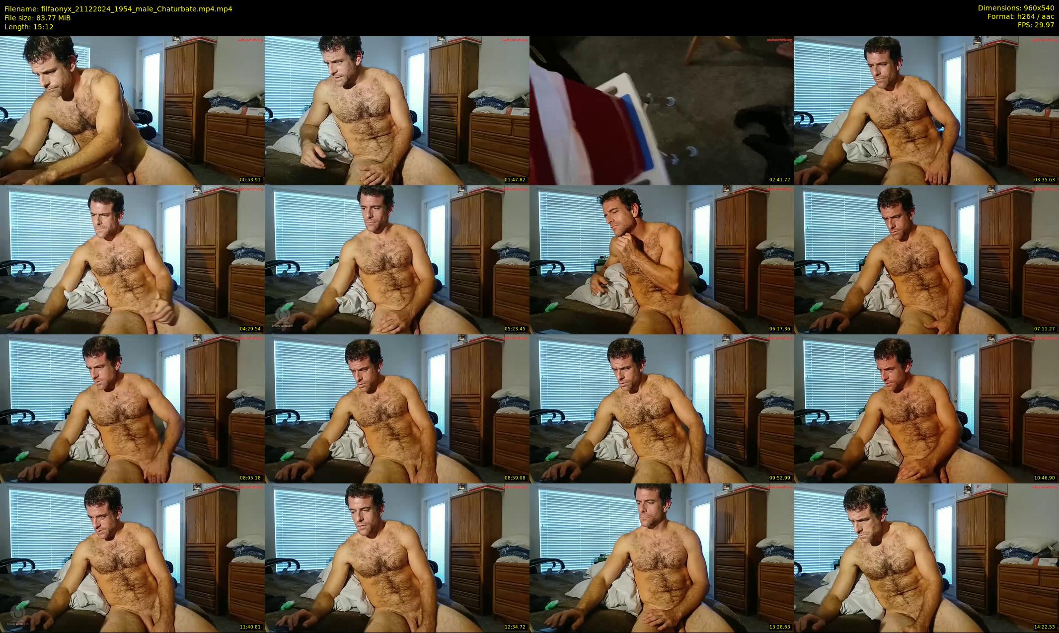 filfaonyx — 16 minute Chaturbate male cam show recording, 480p, Dec 21, 2024
